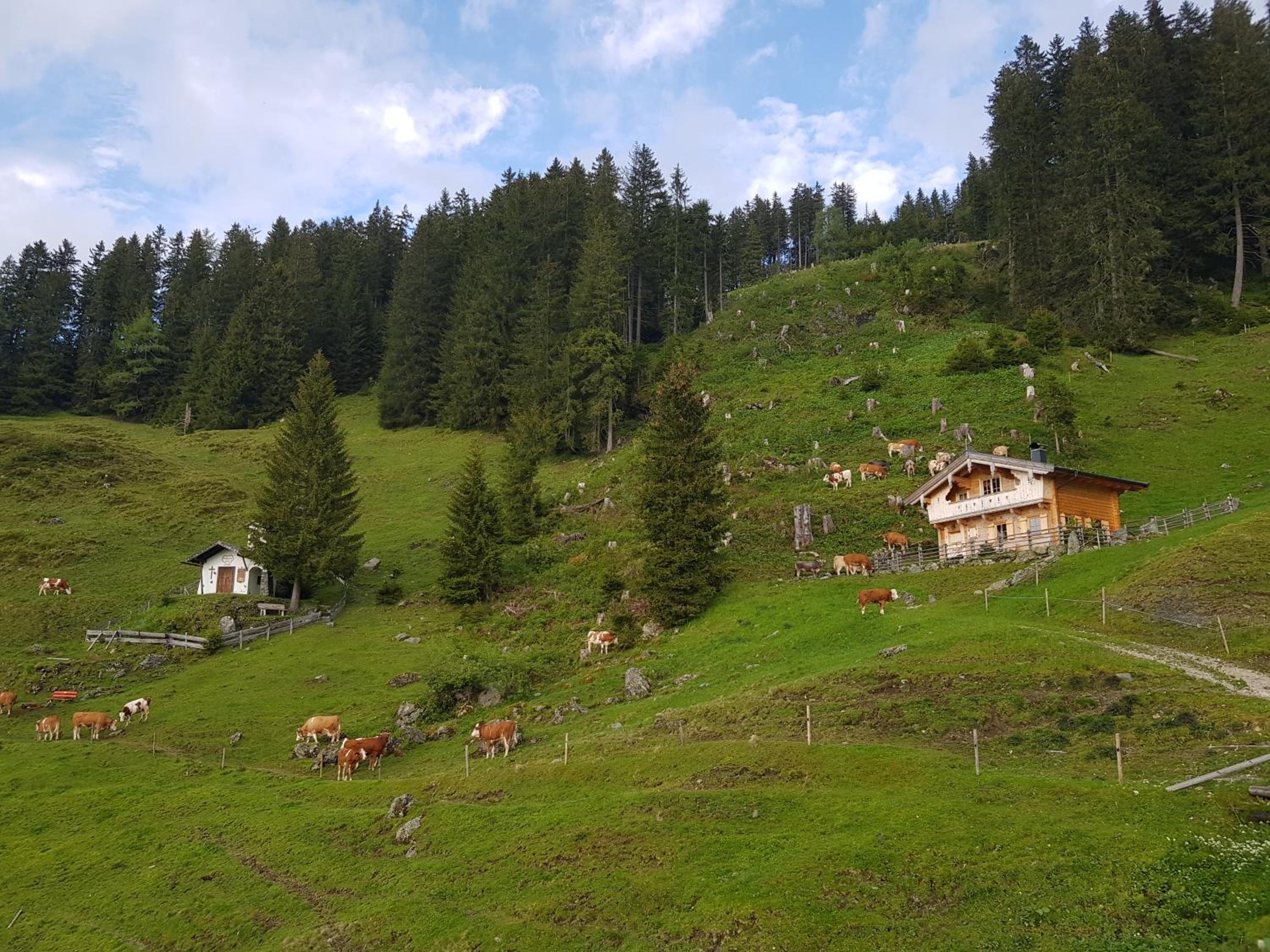 Almhütte Andrea