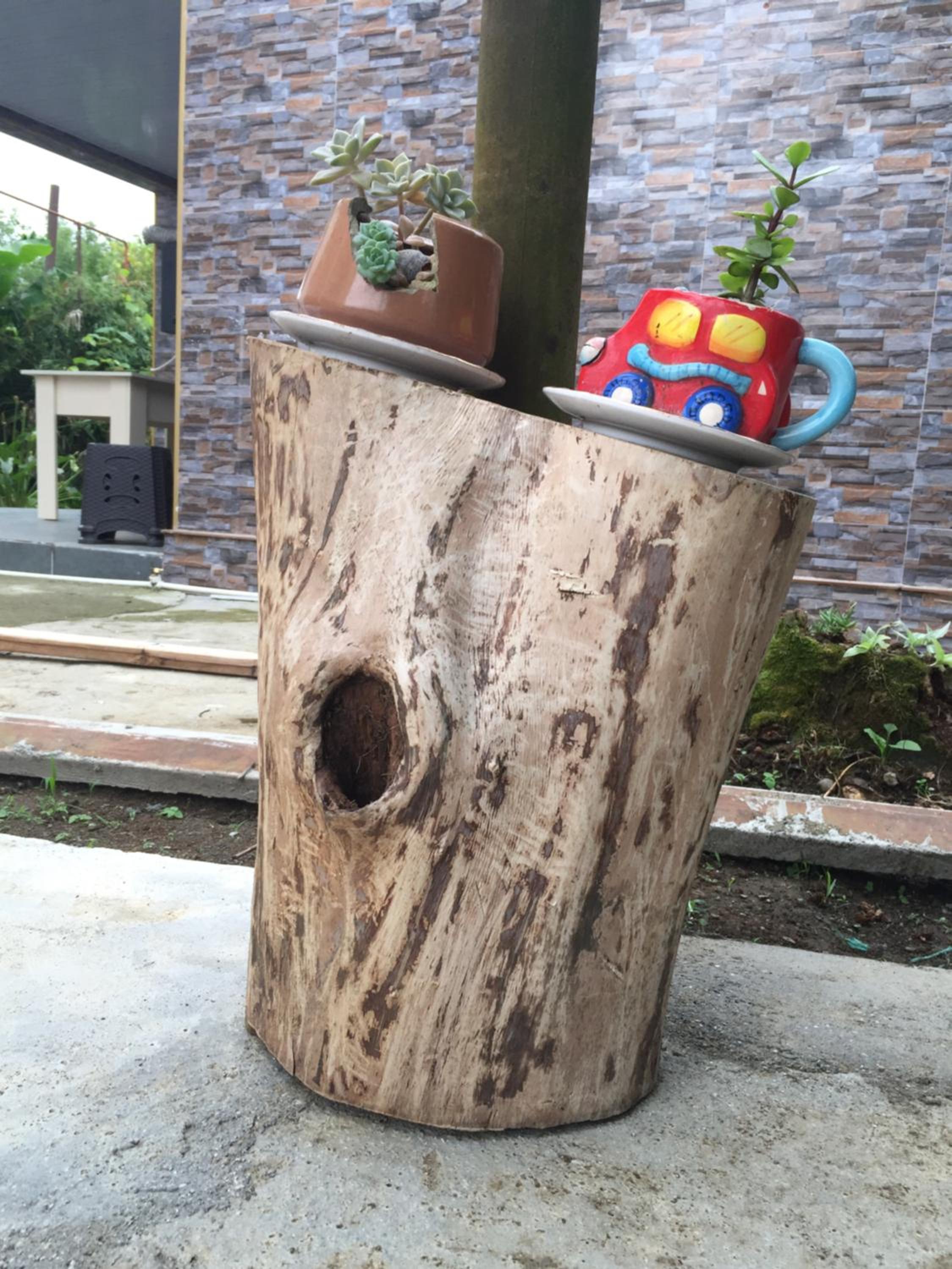 Photo 13