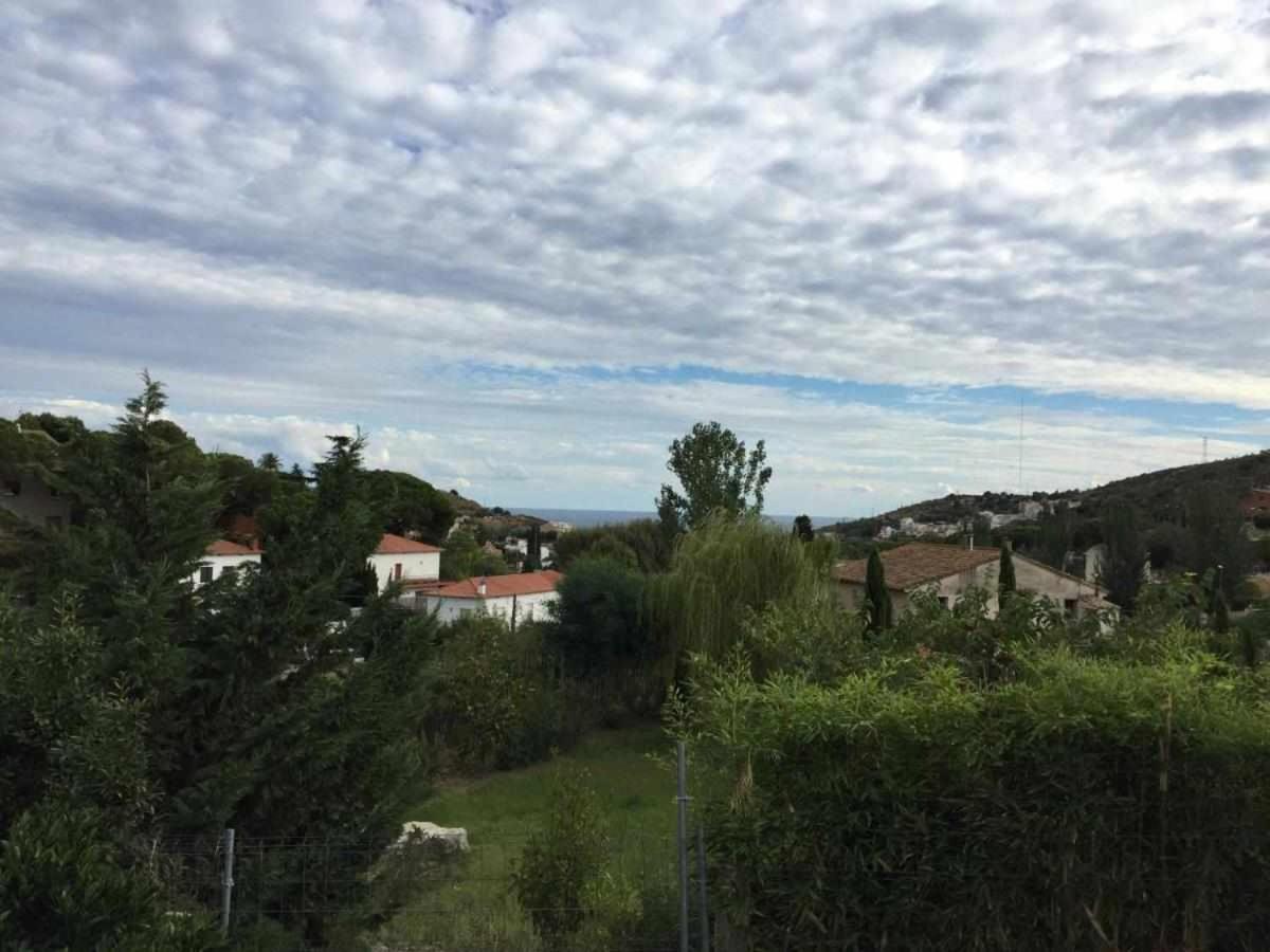 Photo 35