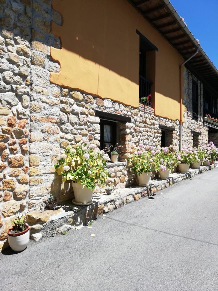 La Casa Nueva Alojamiento Rural