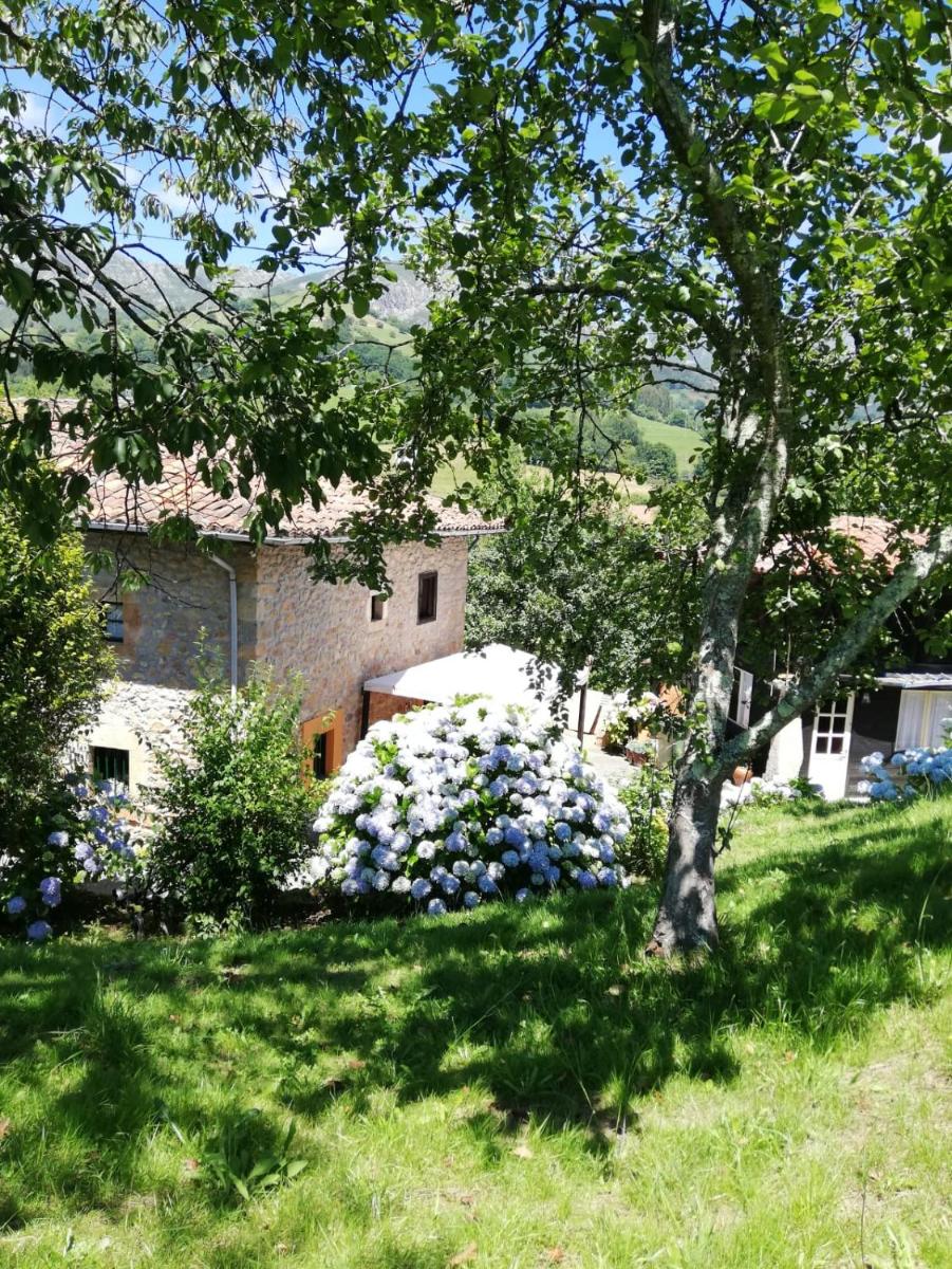 La Casa Nueva Alojamiento Rural