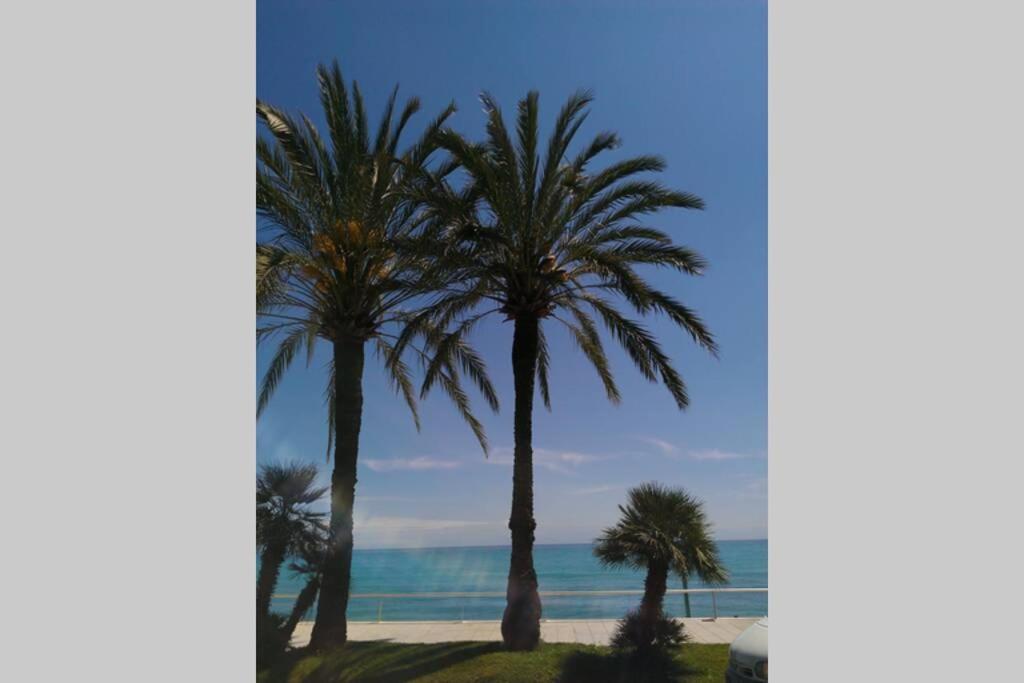 Casa Marina Apartment Ligurien Arma di Taggia bei Sanremo photo 3