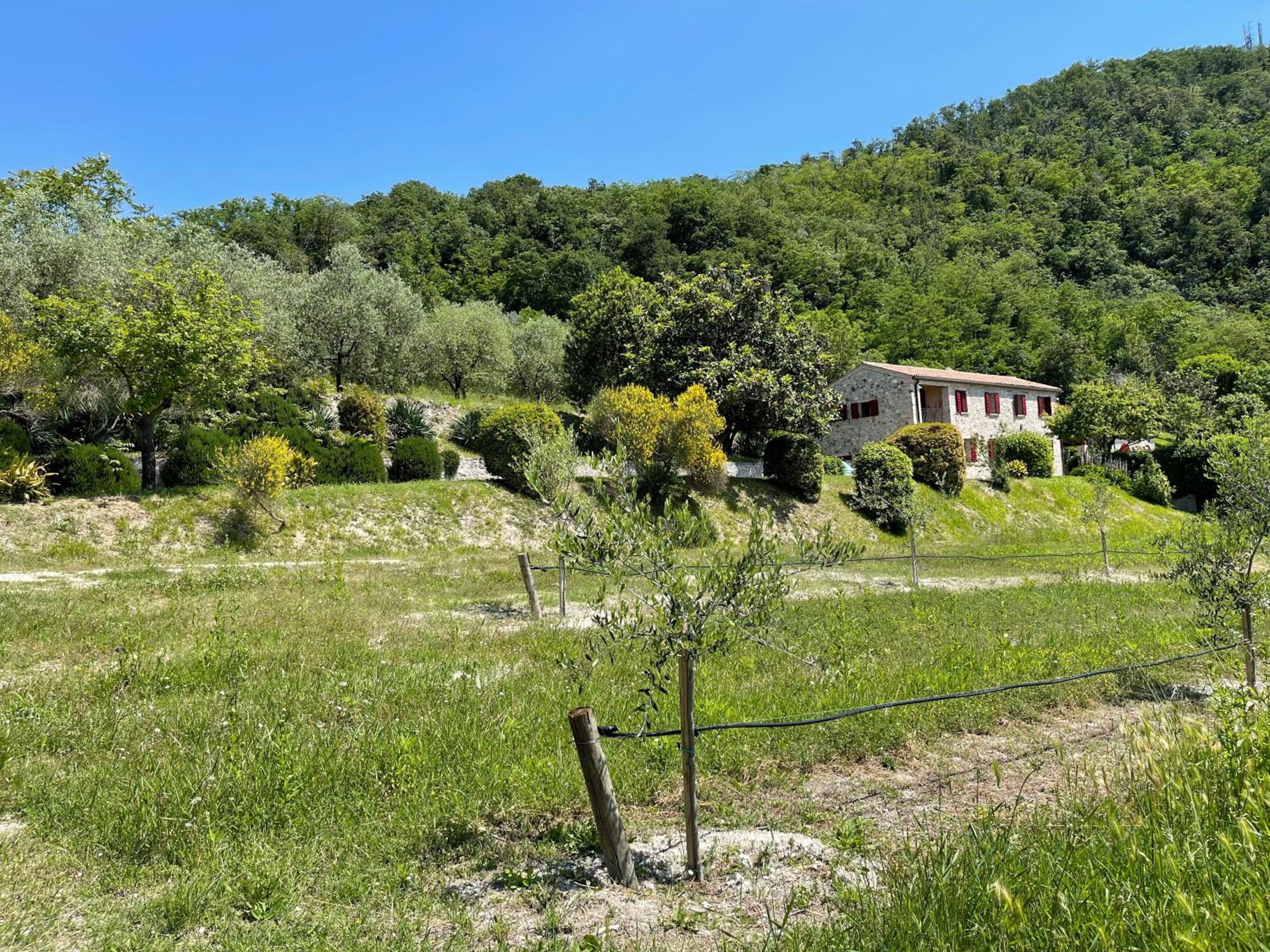 Villa degli ulivi by Holiday World view 3