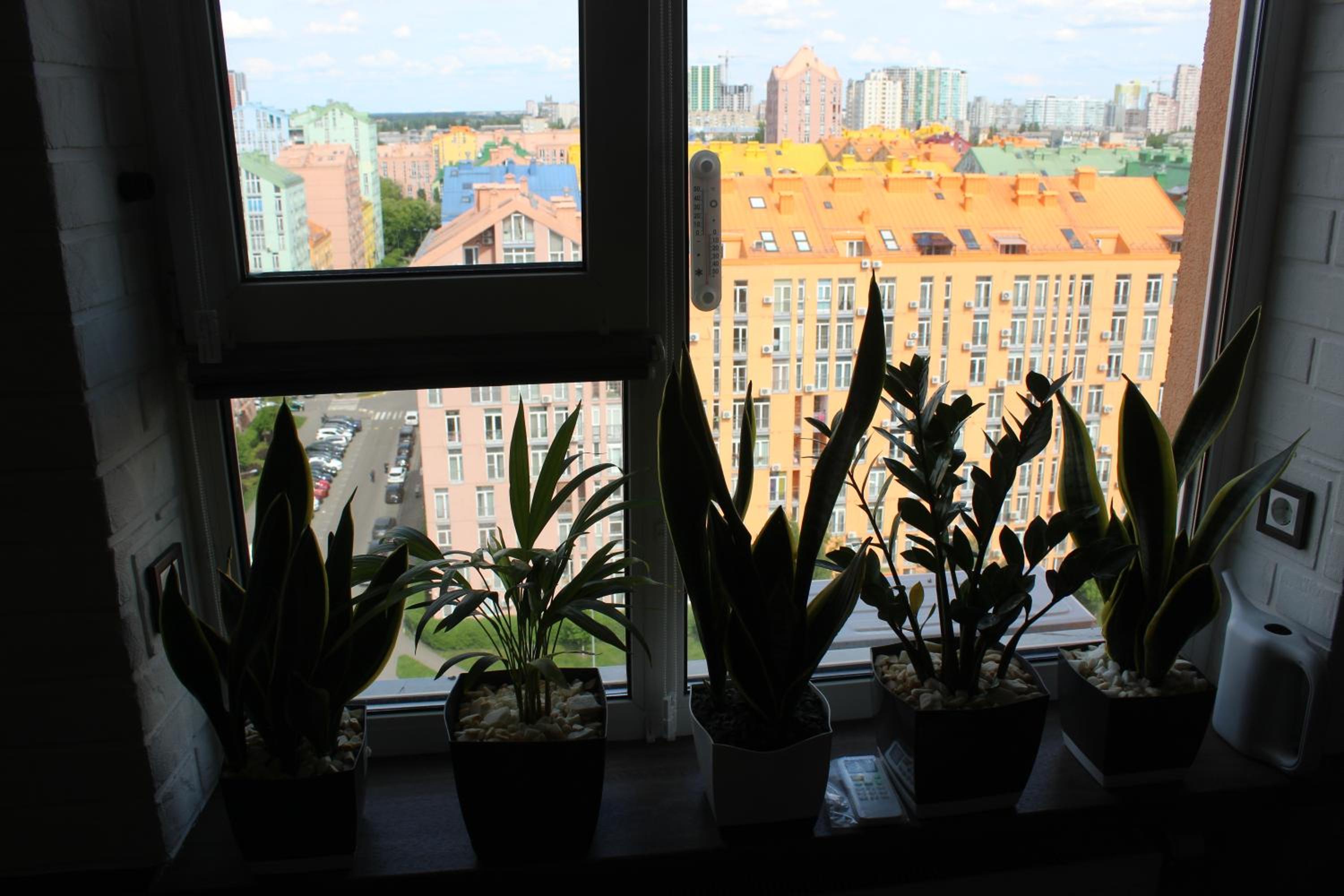 Photo 63