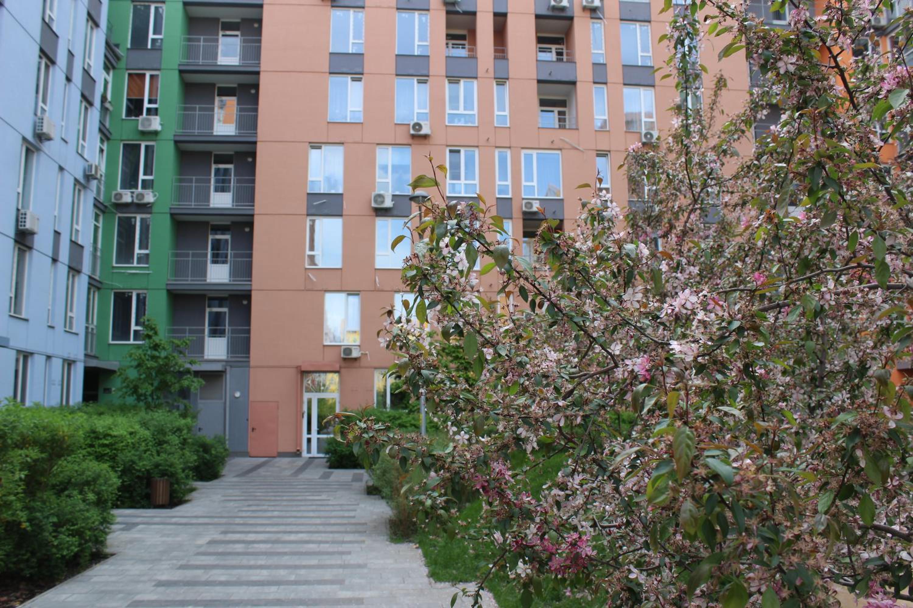 Photo 42