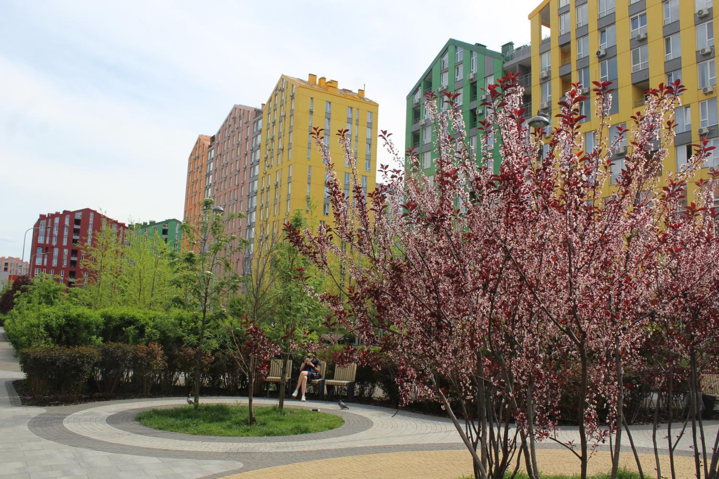 Photo 50