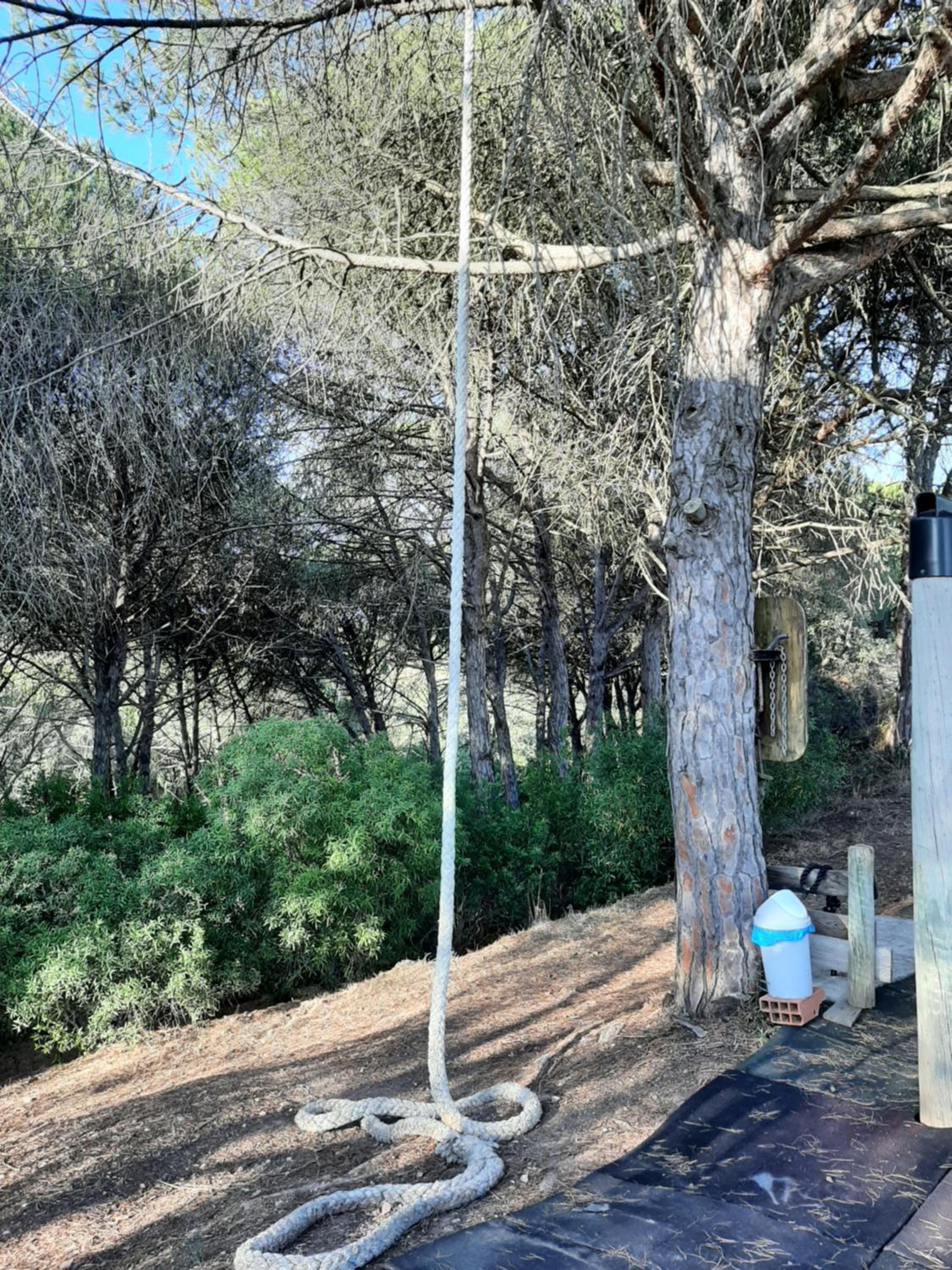 Photo 21