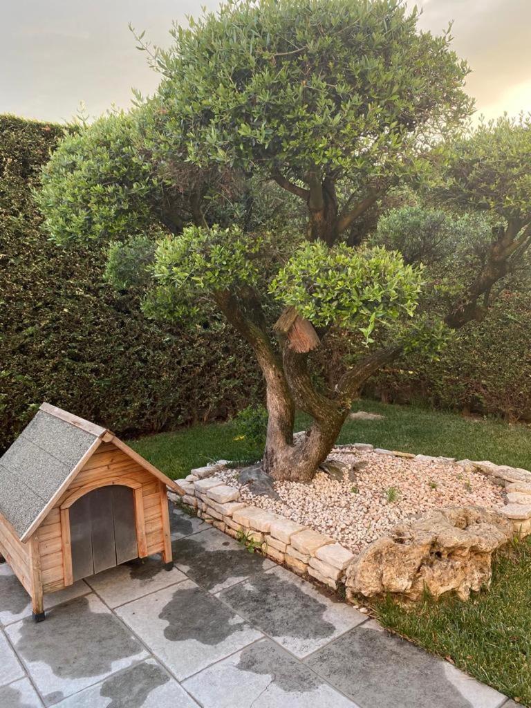 Wooden house photo 5
