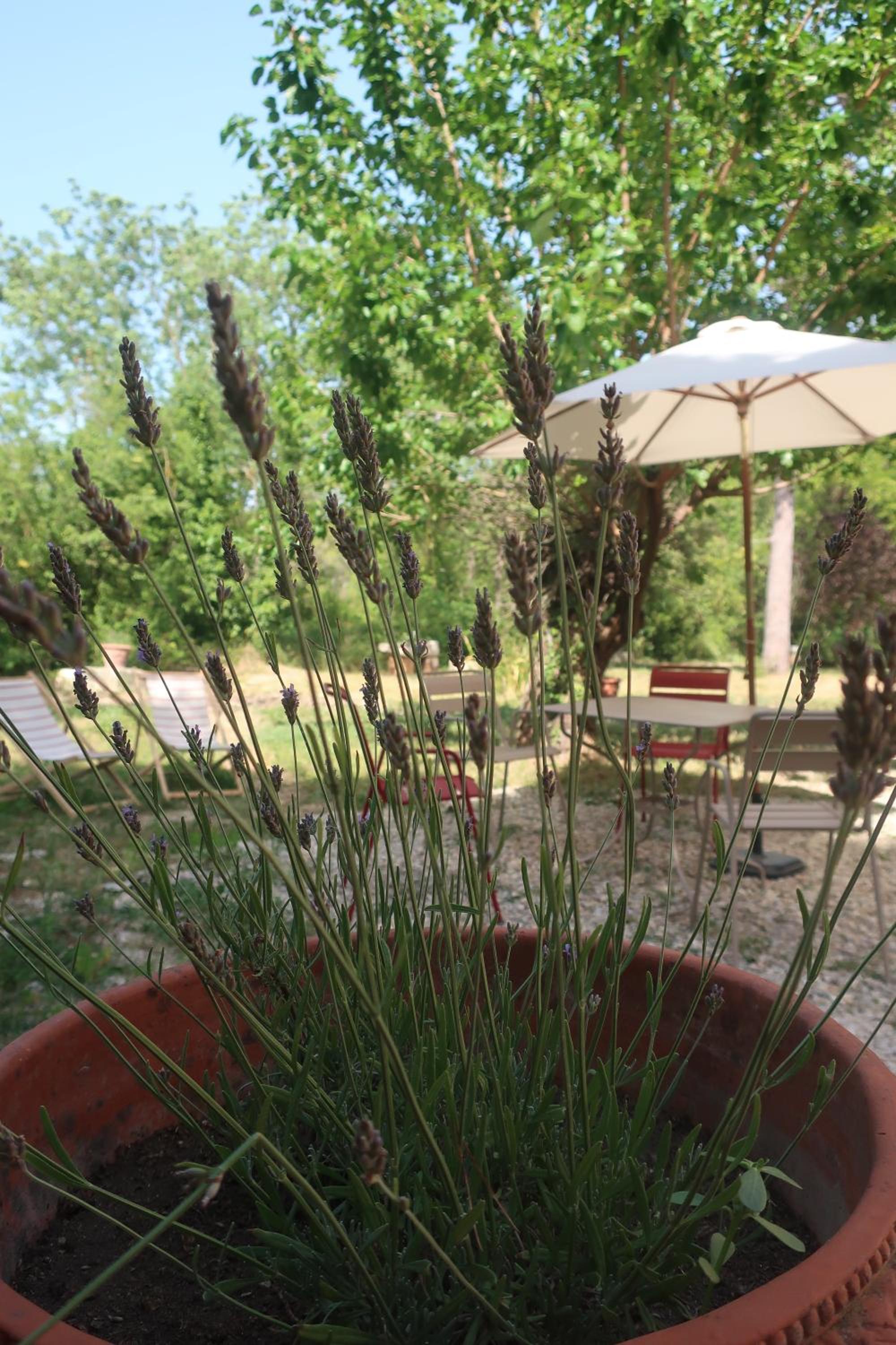 Petit Gîte familial au Domaine de Valmont view 3