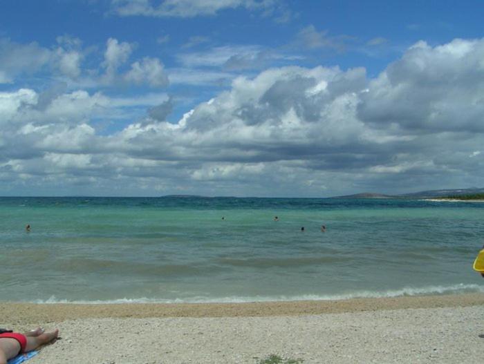 Dandy view 4