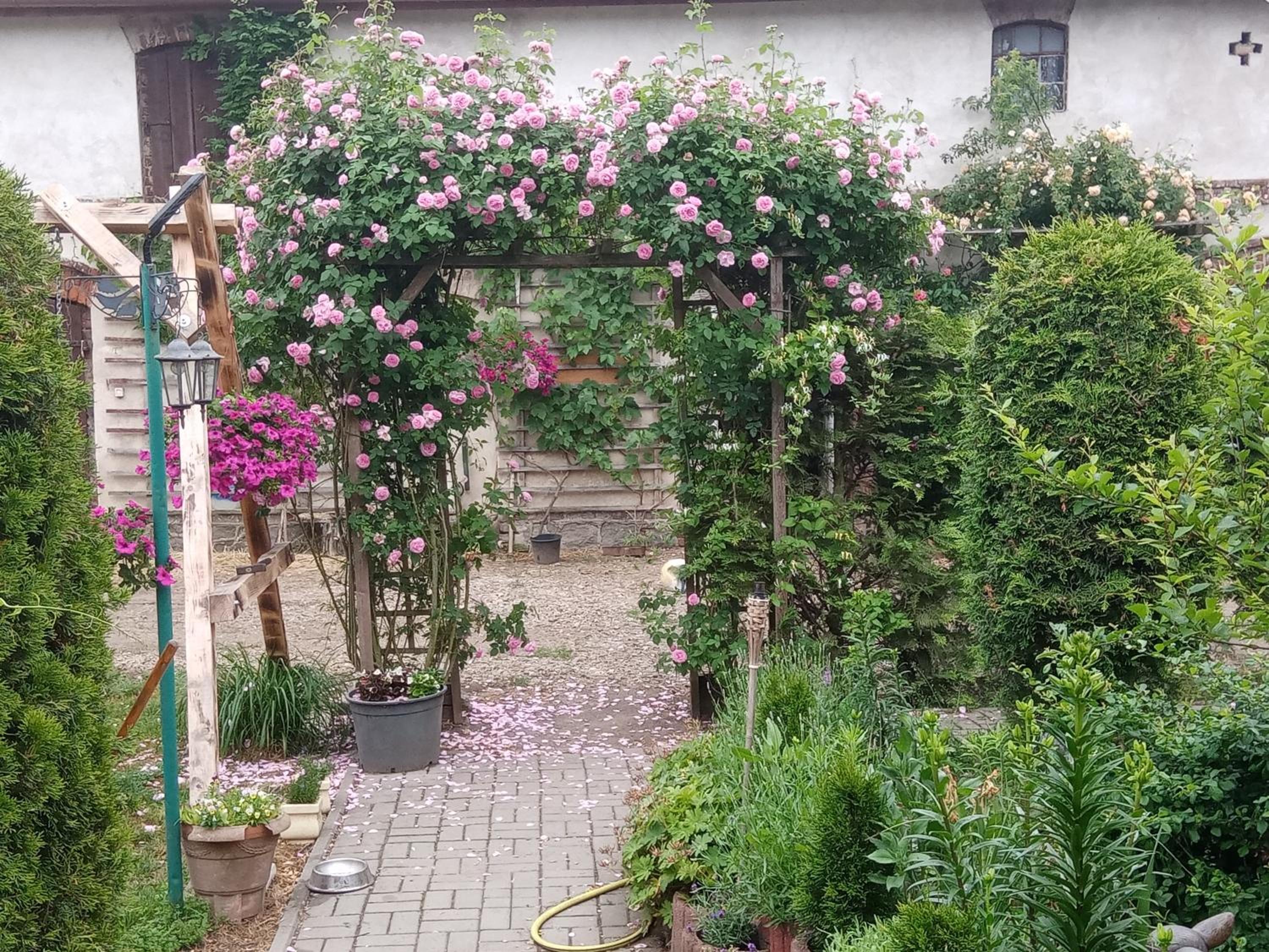 Gospodarstwo agroturystyczne view 5