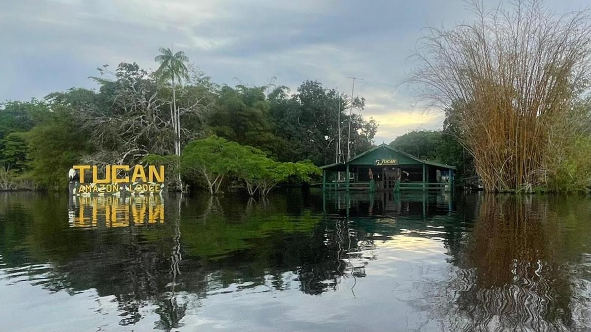 Amazônia Exxperience