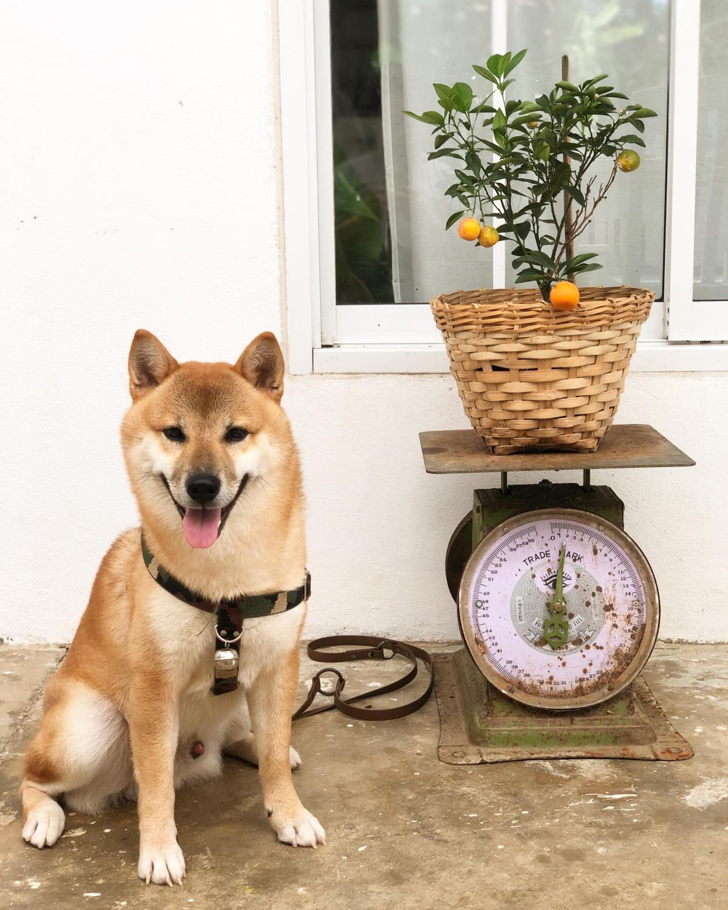 One Chan Farmstay view 2