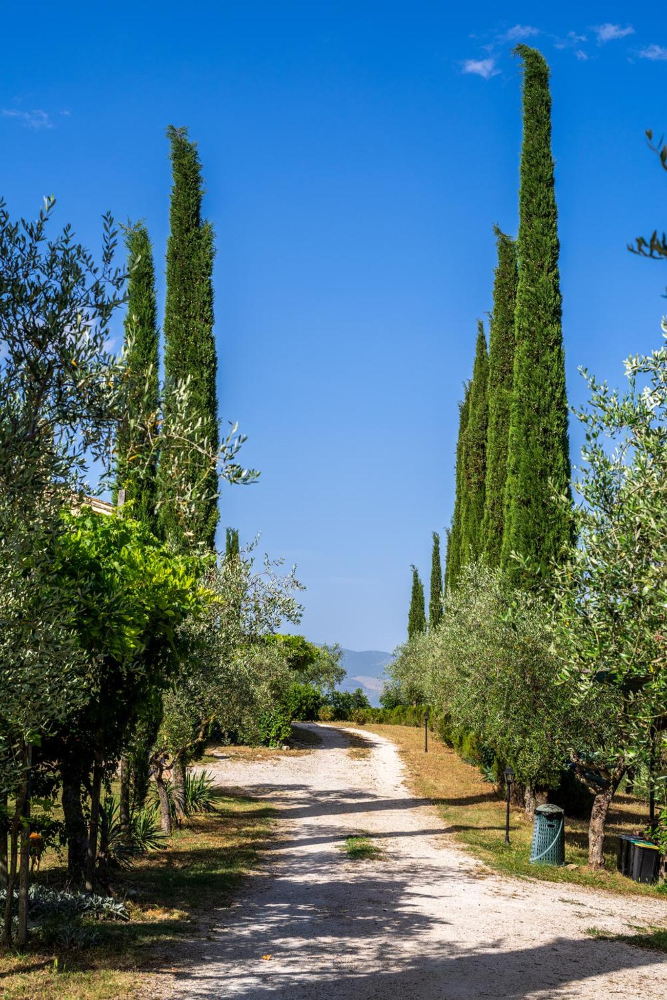 Agriturismo La Fonte