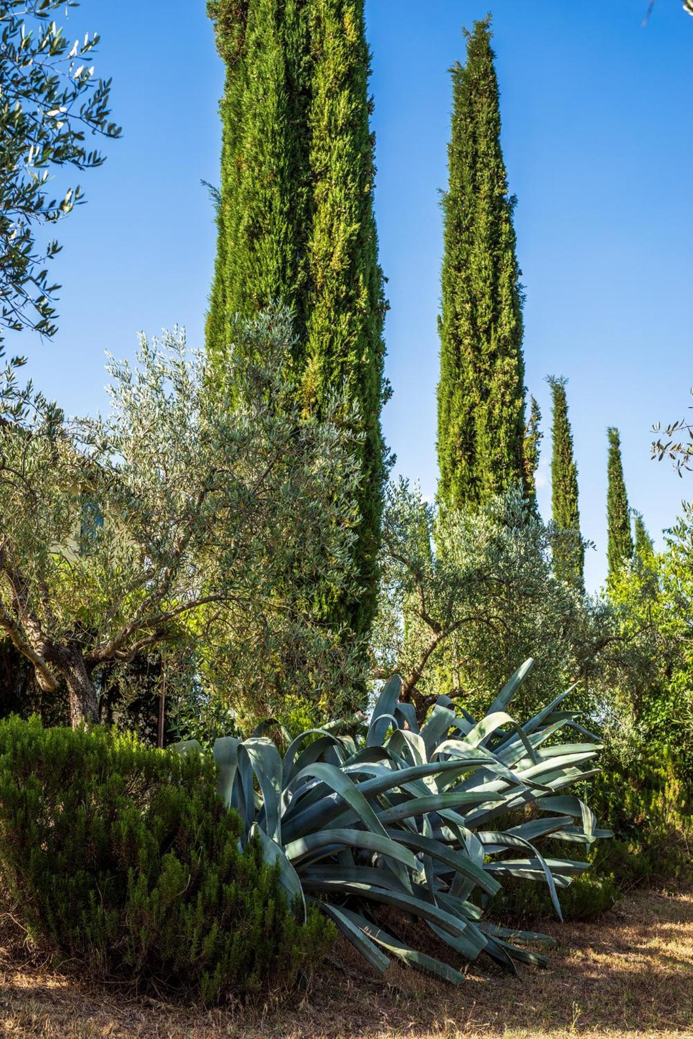 Agriturismo La Fonte