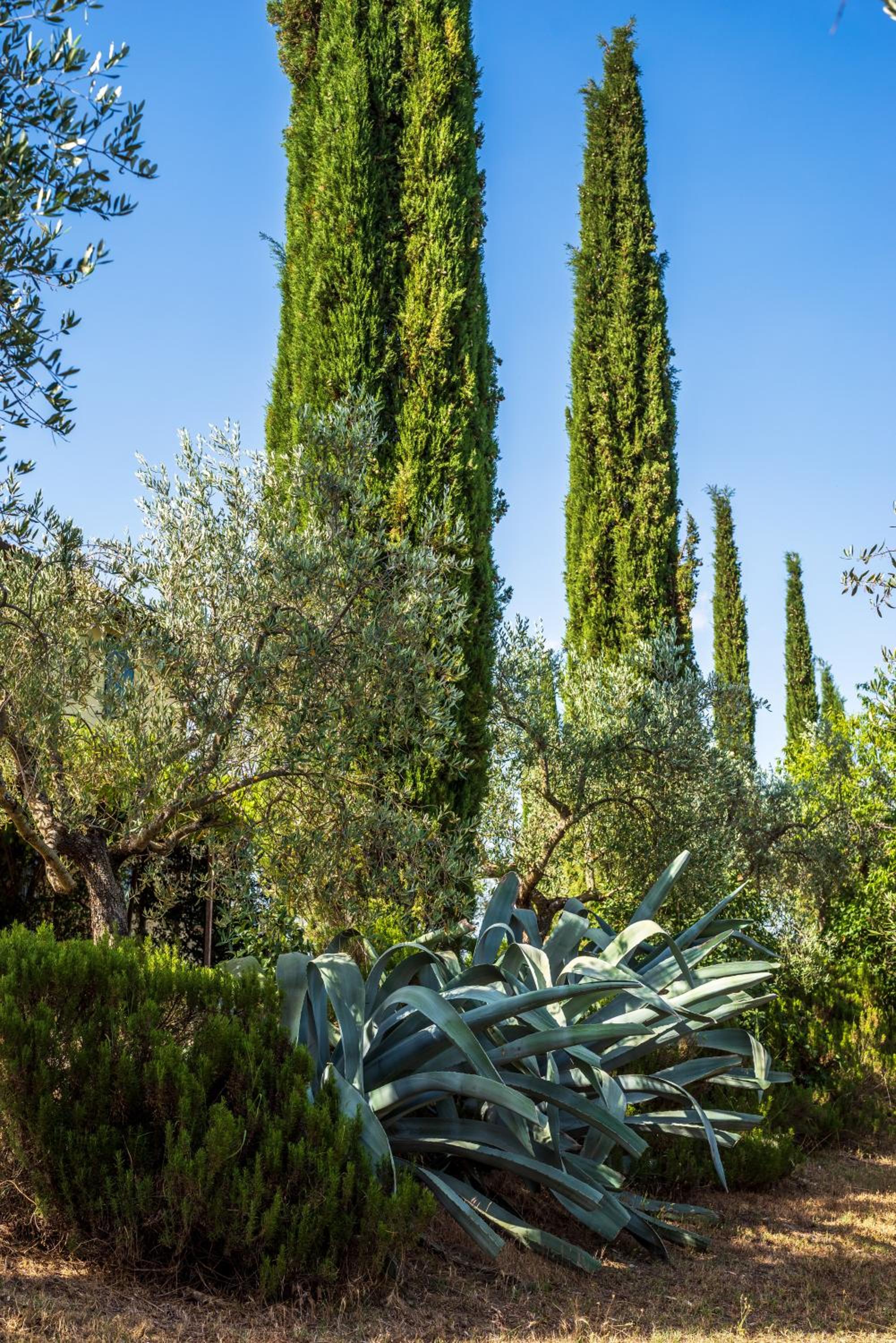 Agriturismo La Fonte