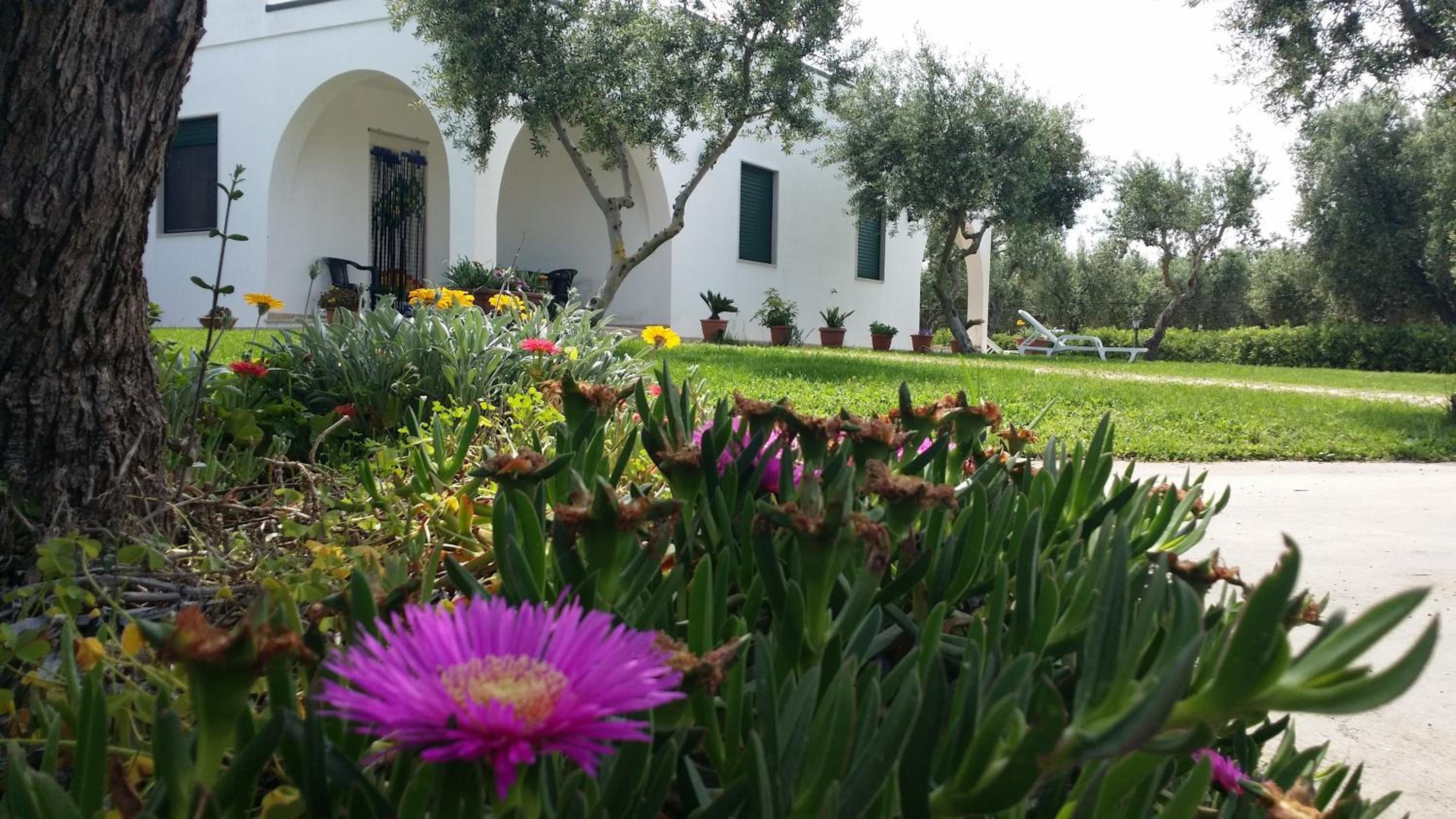 Oasi Degli Ulivi