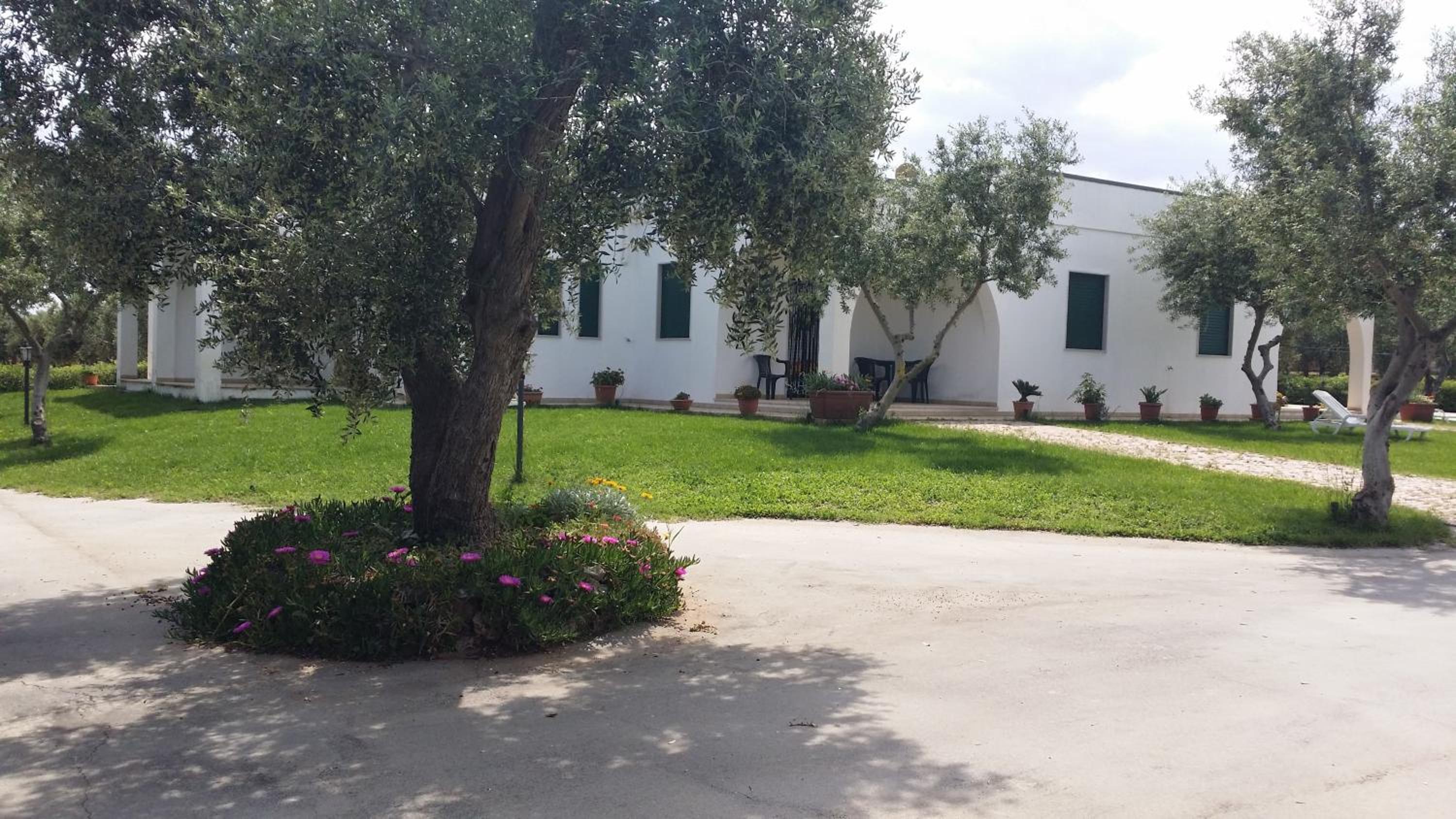 Oasi Degli Ulivi