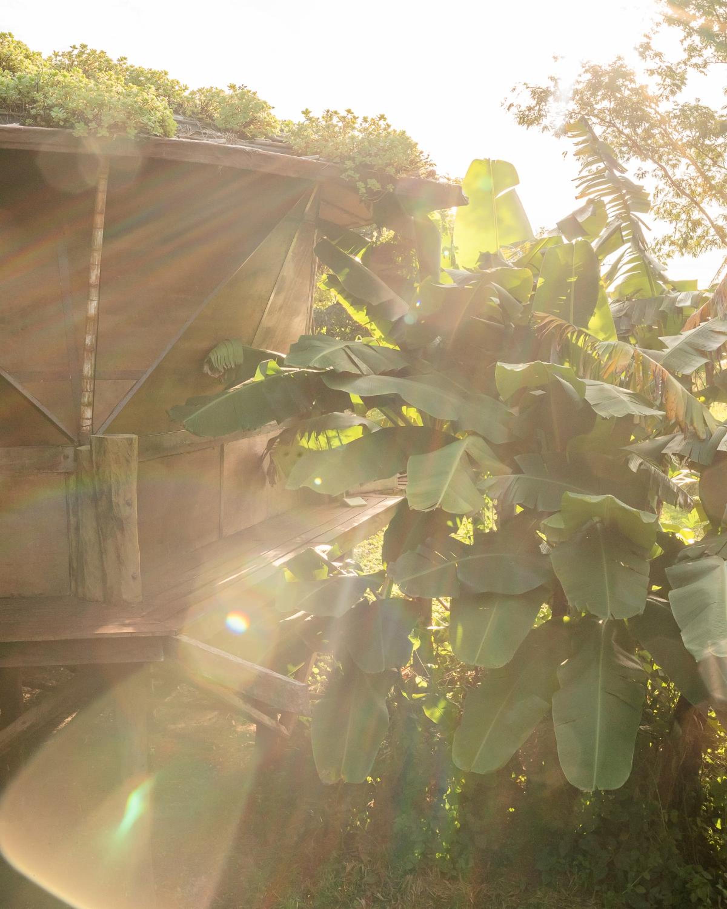 Tava Glamping Lago