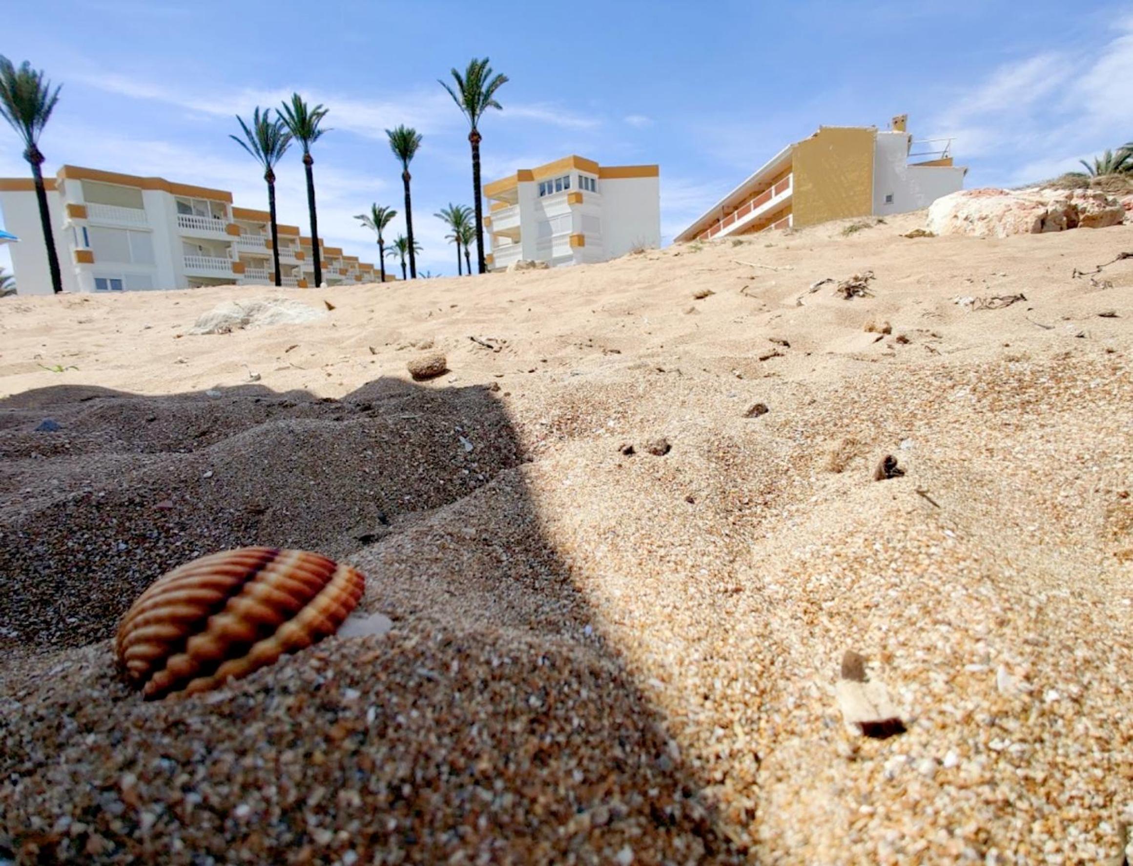Apartamentos Óliver Playa