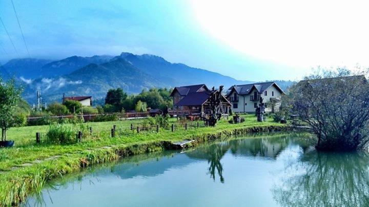 Hasienda view 2