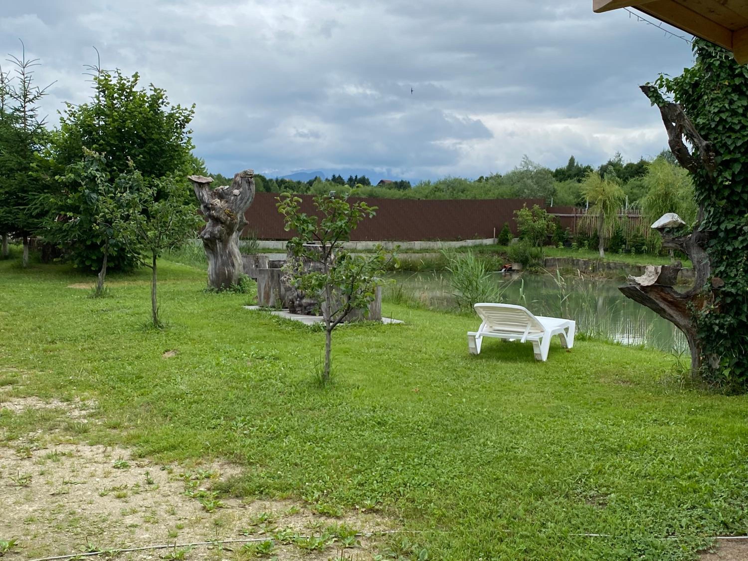 Photo 33