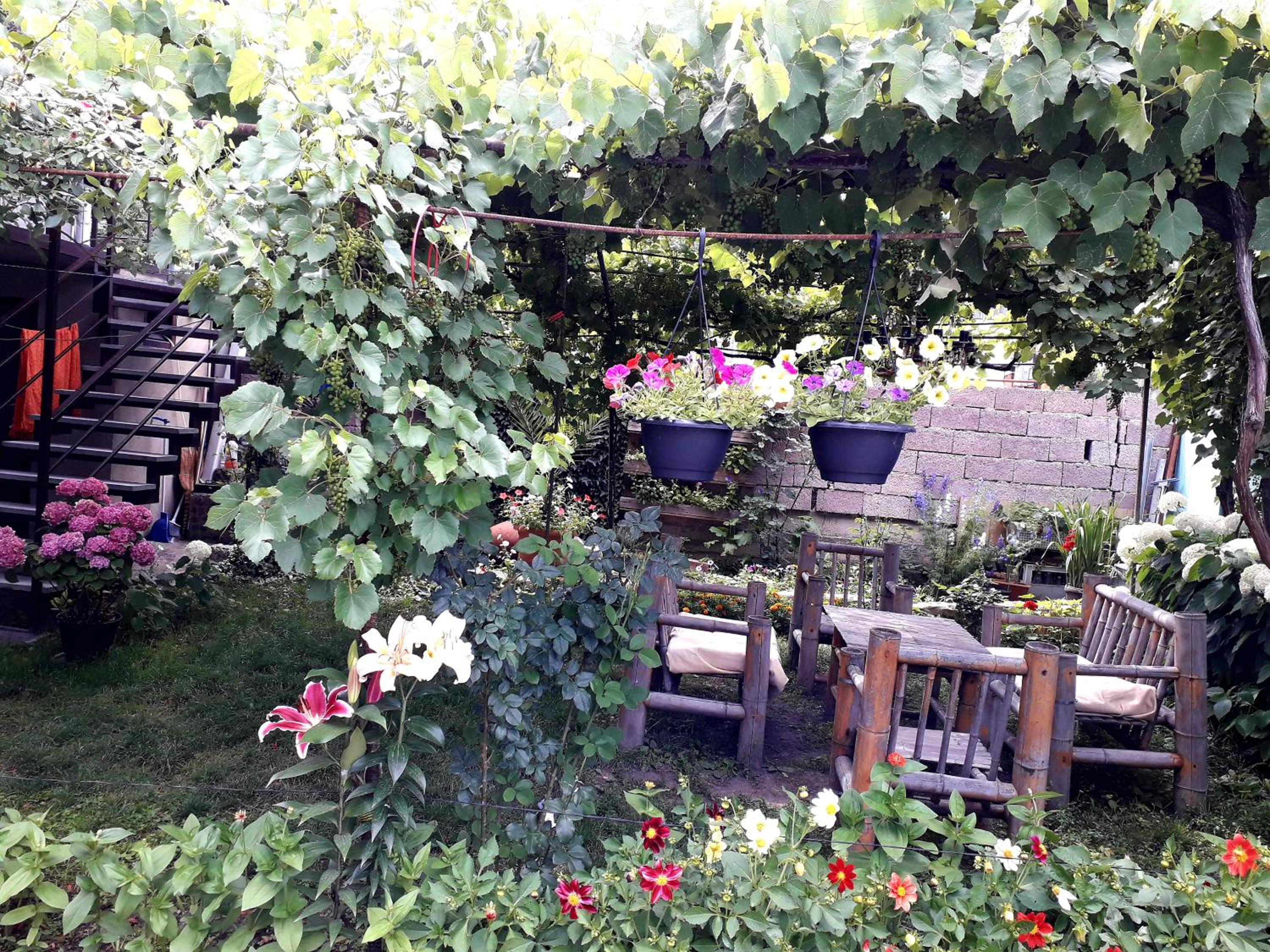Photo 11