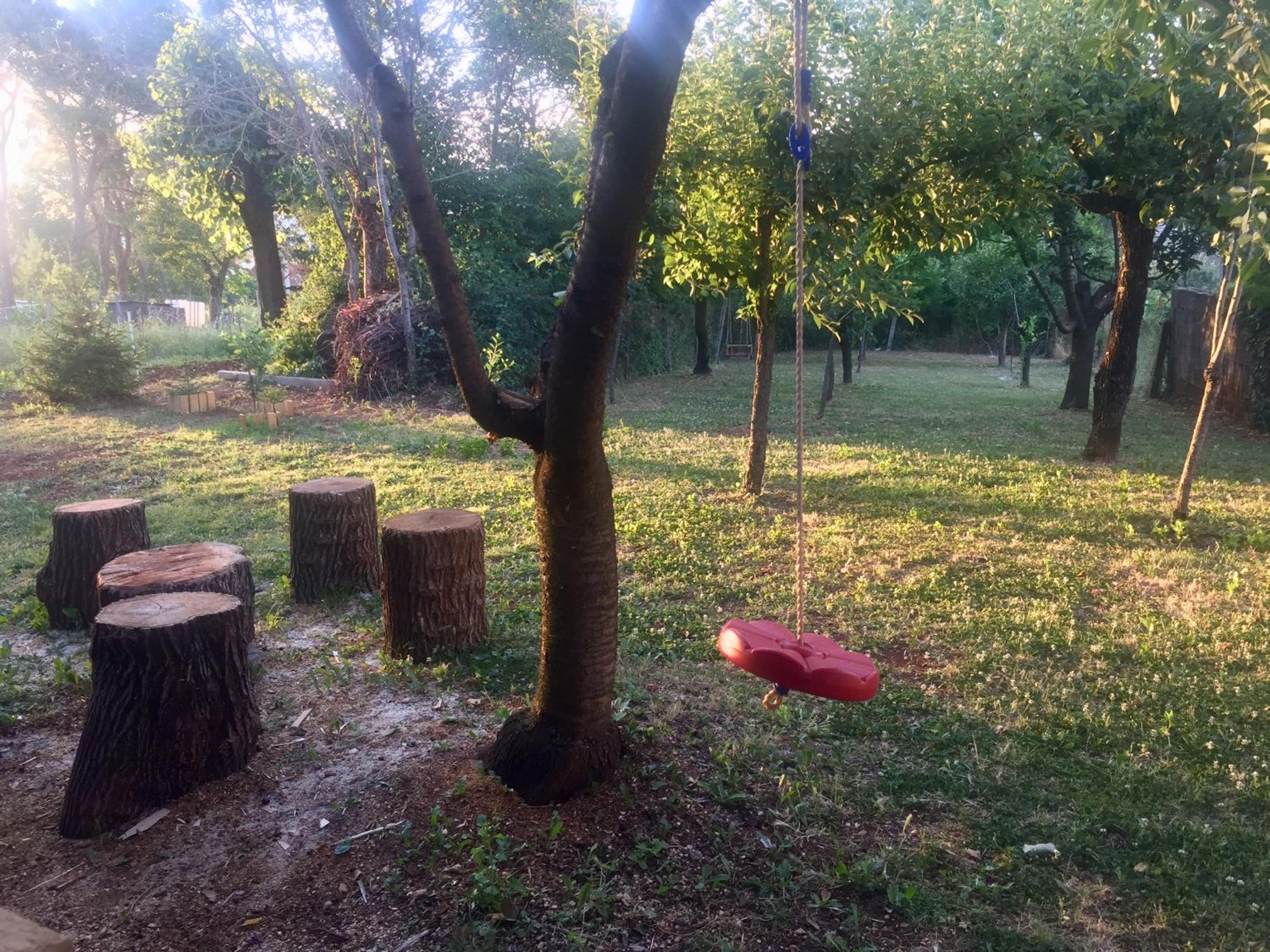 Photo 9