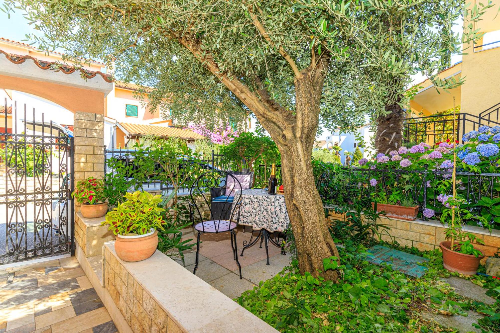 Apartments Barica view 4
