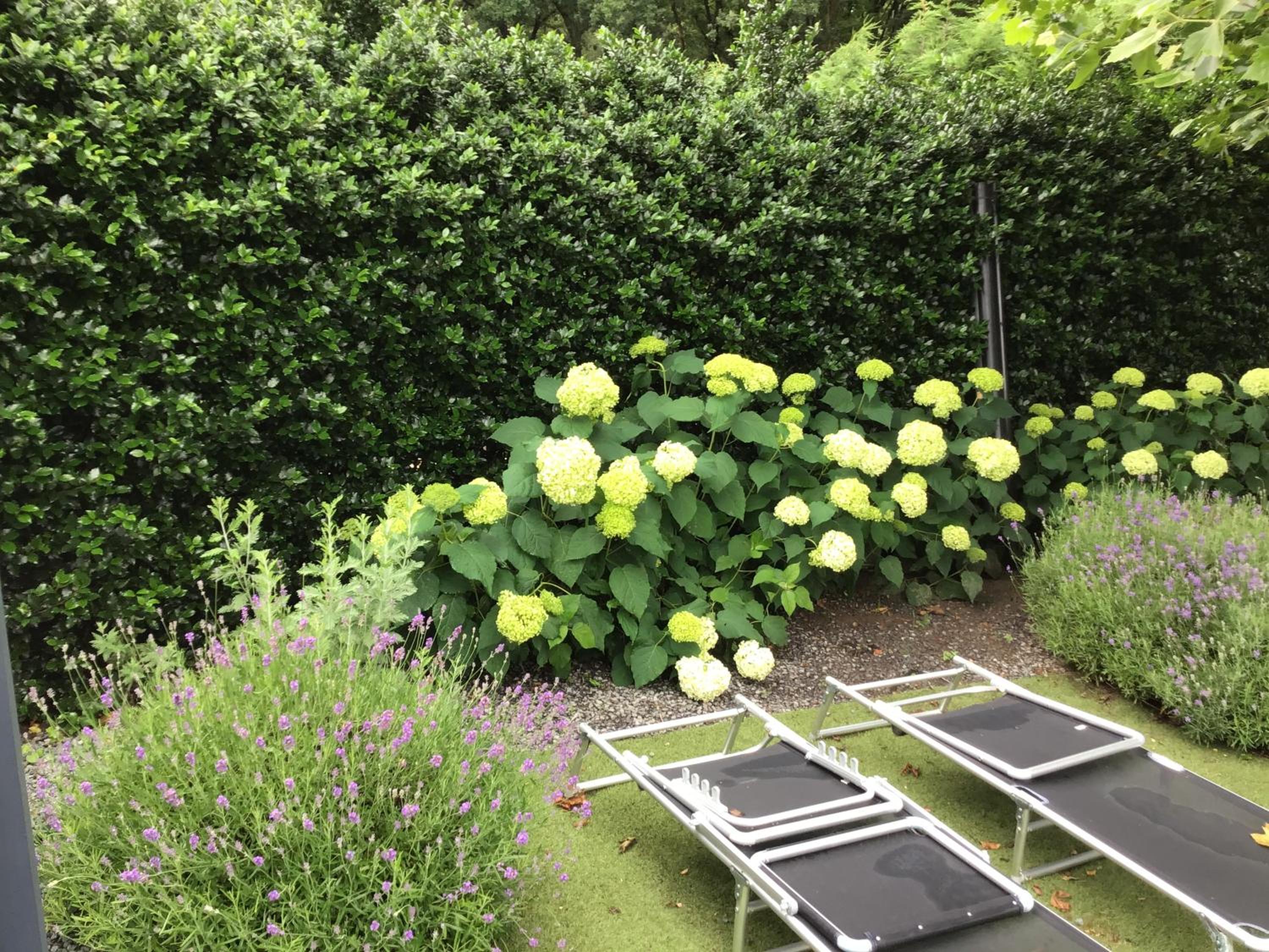 Studio Gardenroom Guesthouse De Steenberg met wellness & tuinzicht