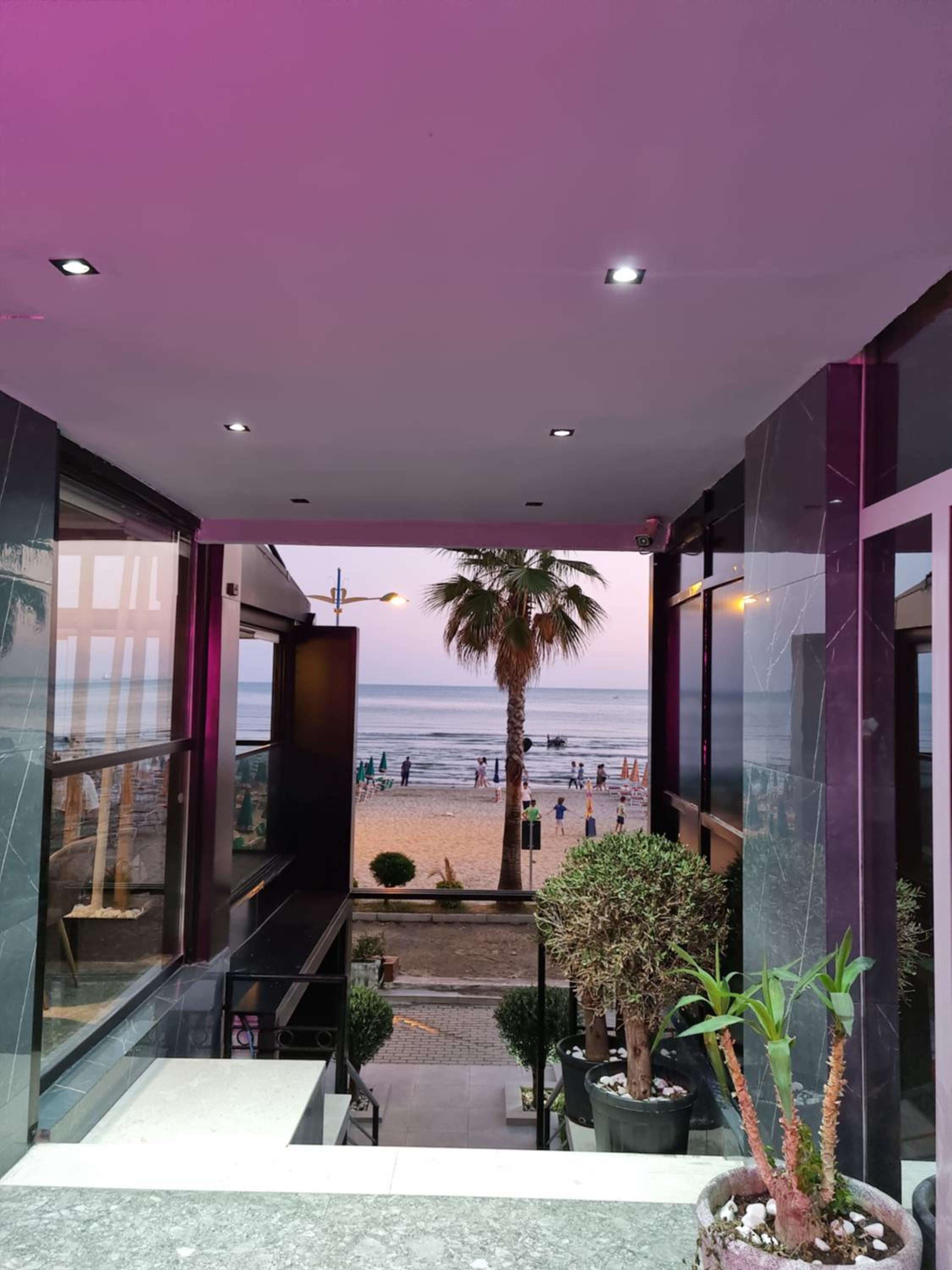 Alex's Apartment