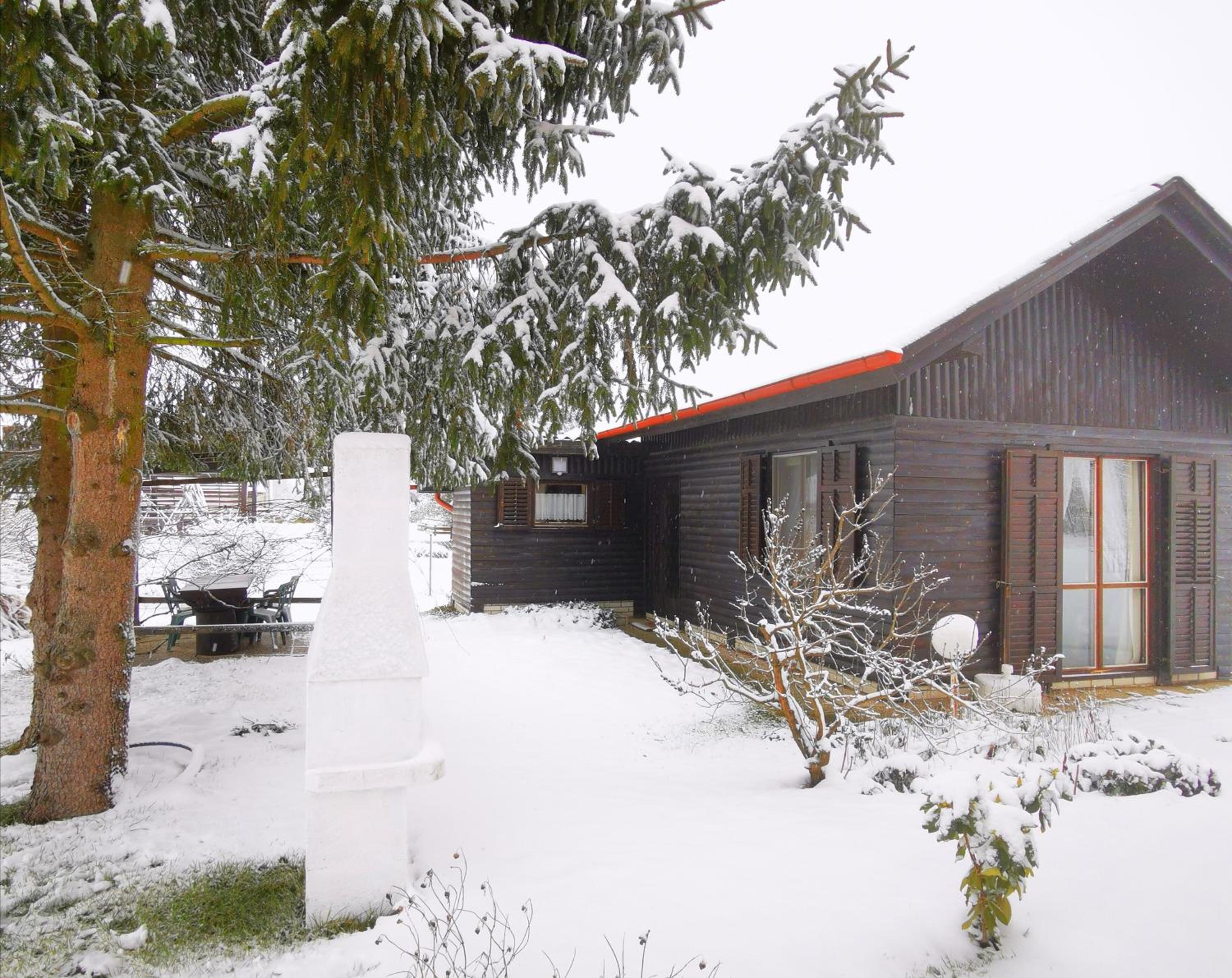 Photo 41