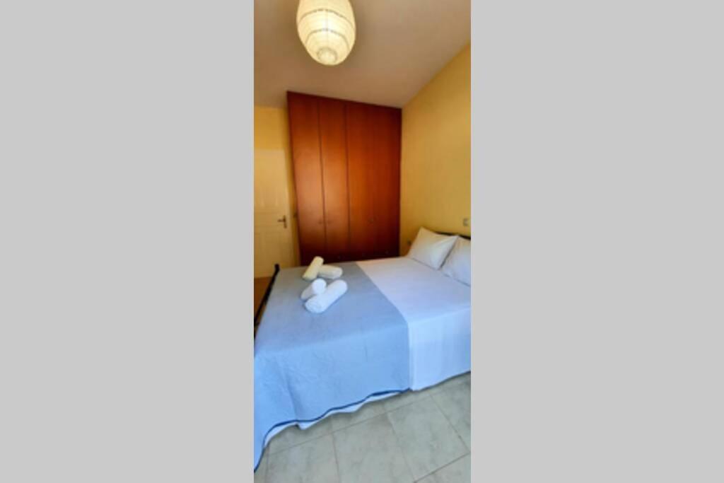 Bloom Garden Apartment photo 3