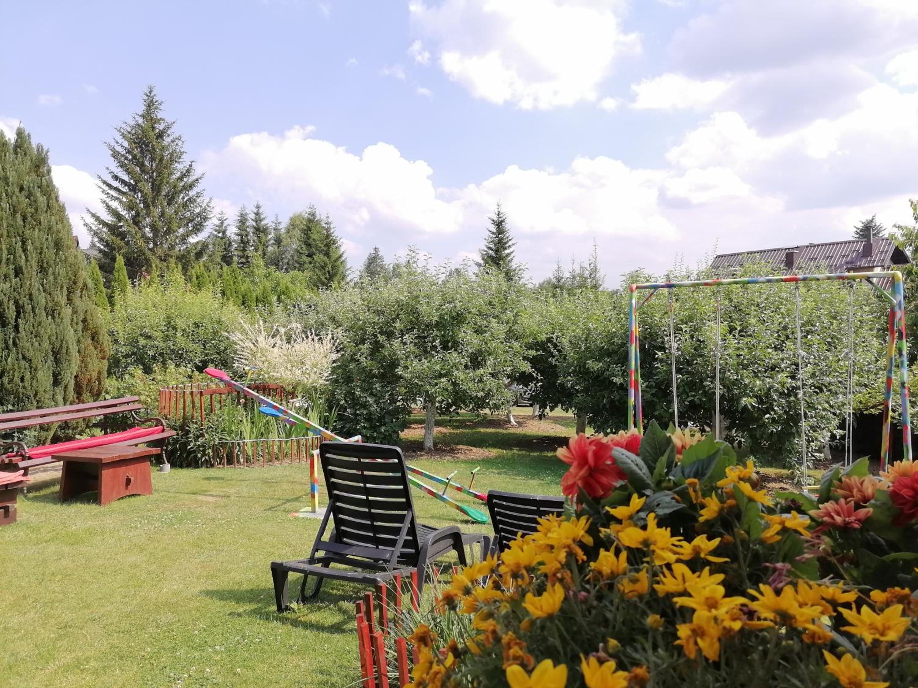 Photo 44