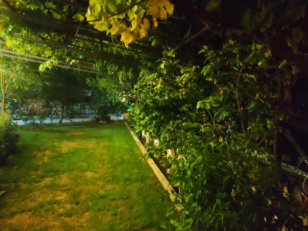 Photo 21