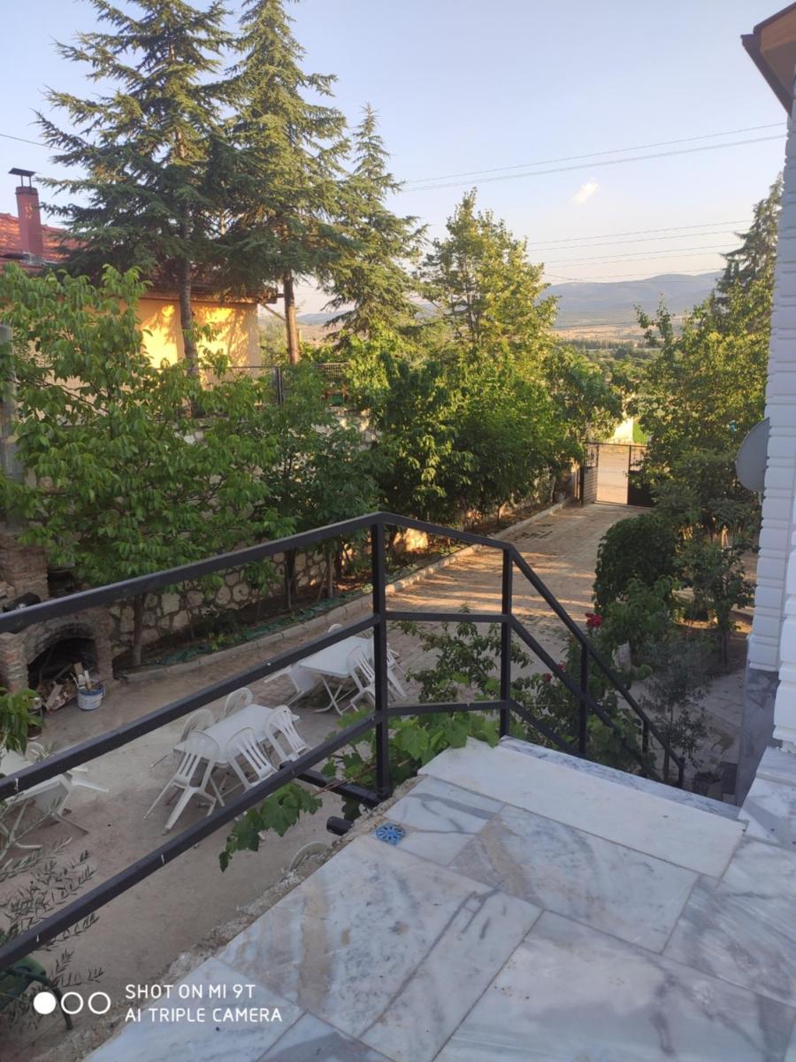 Photo 23