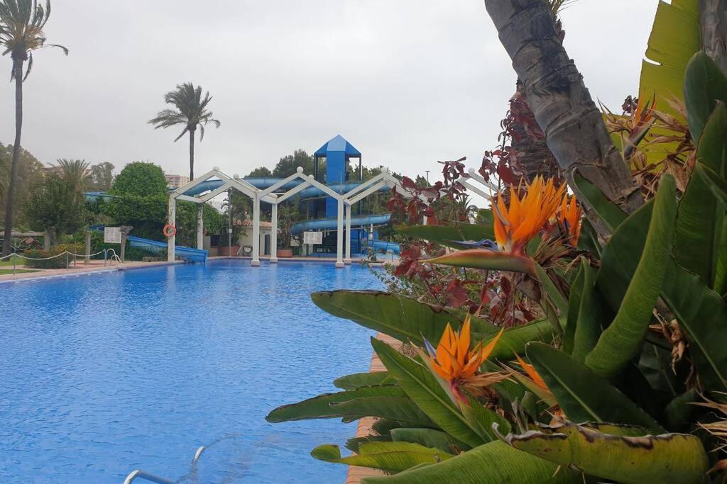 Benal beach bloque 3 vista al mar view 4