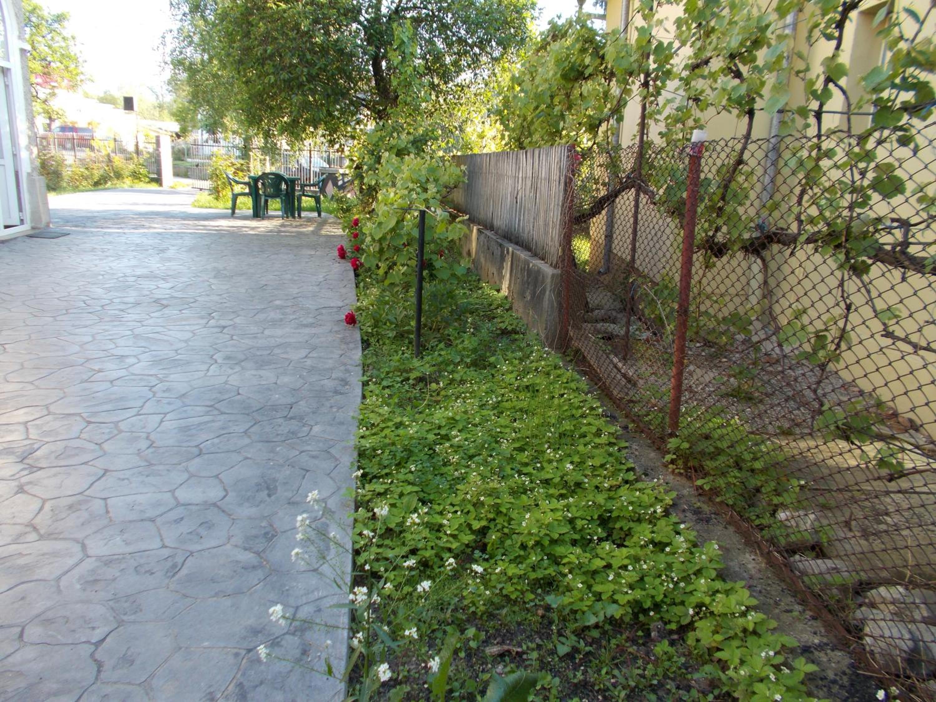 Photo 35