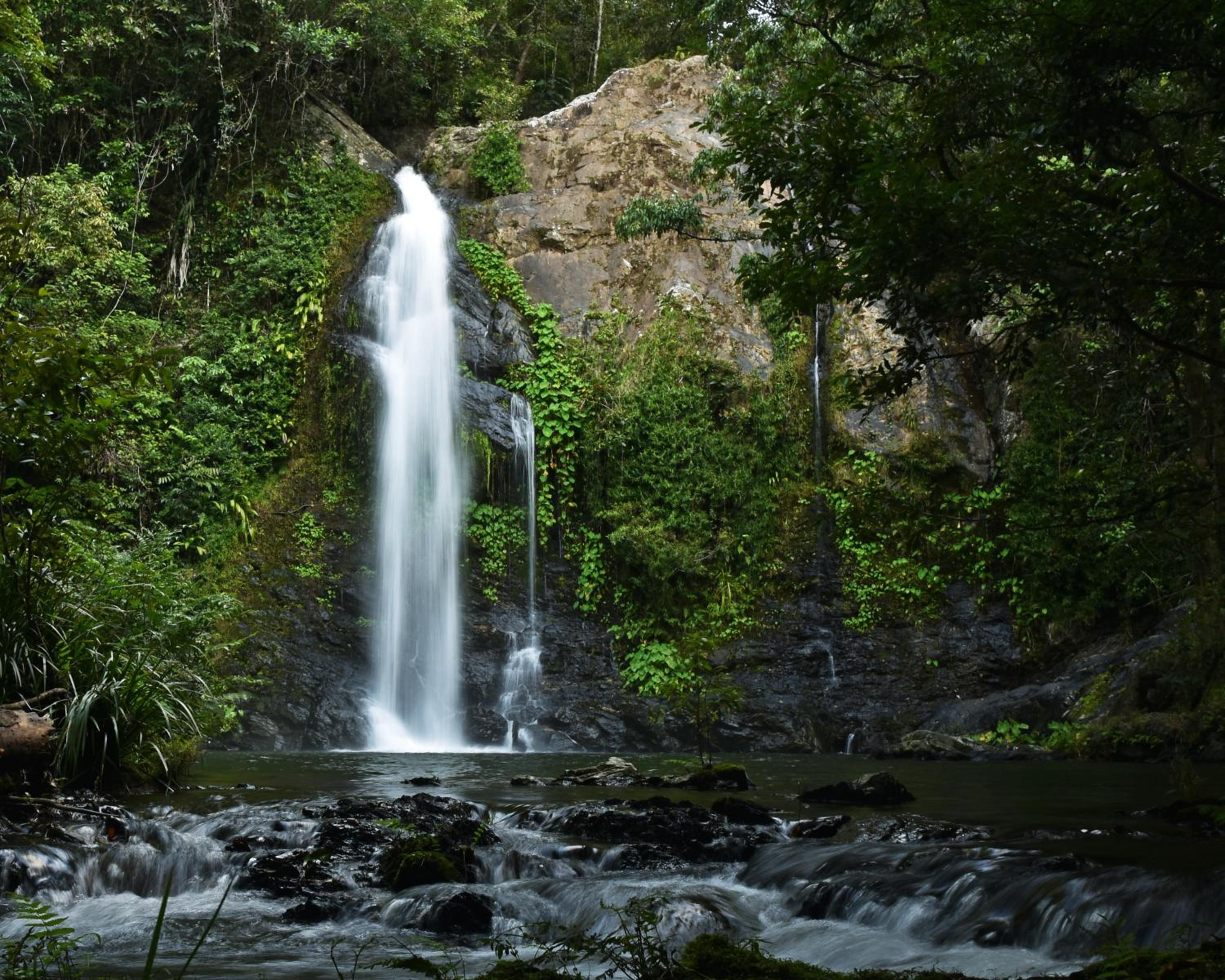 Cassowary Falls Gateway Daintree view 5