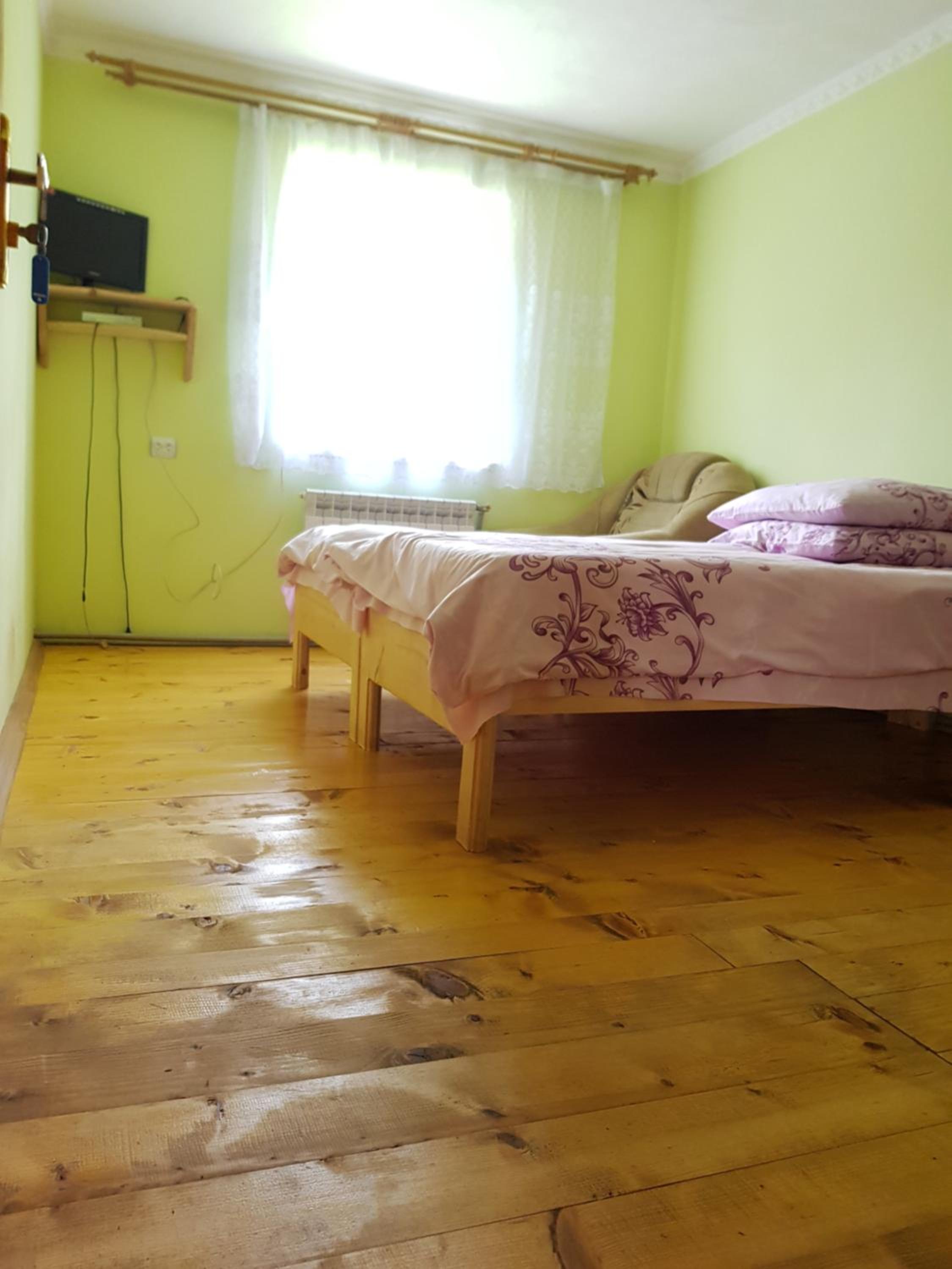 Карпатський будинок view 2