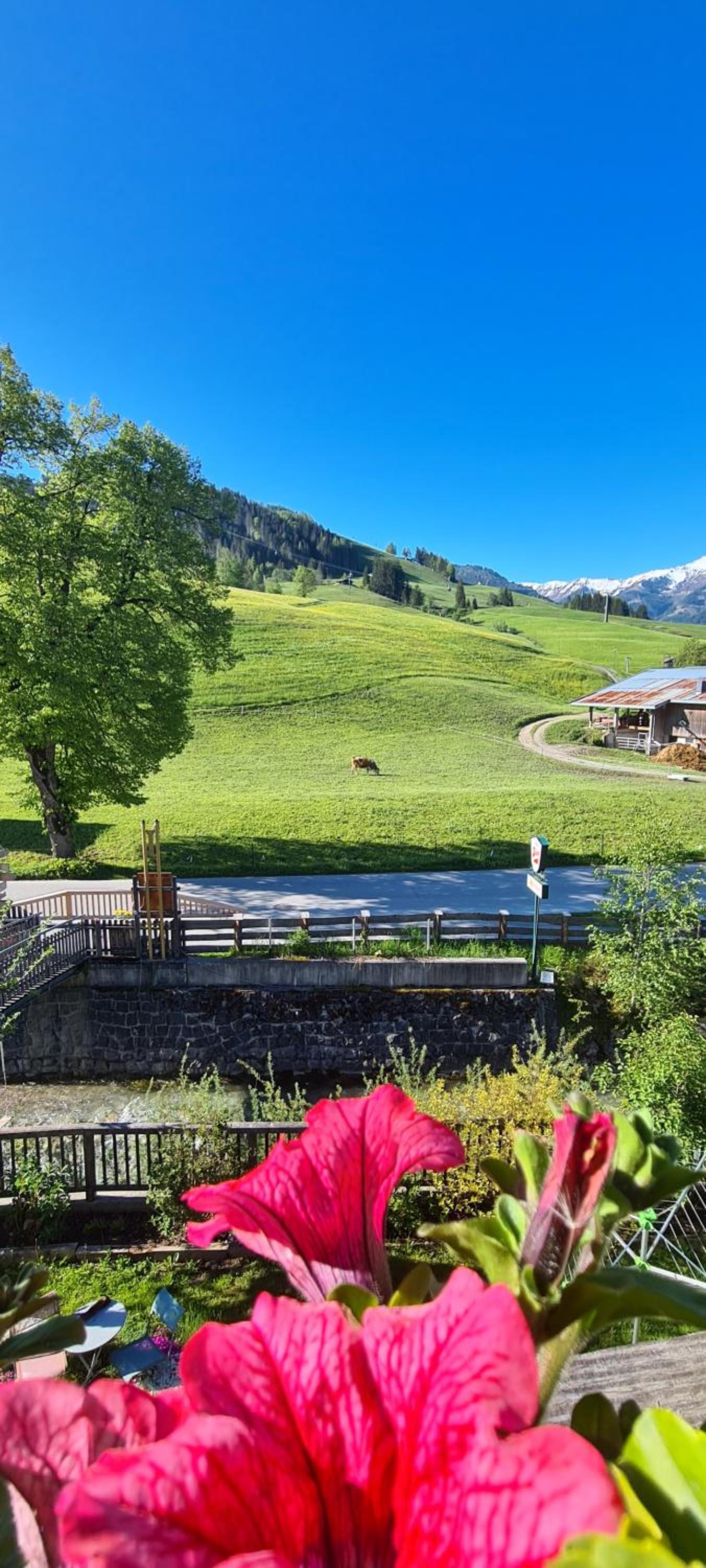 Hotel Sonnenlicht Maria Alm