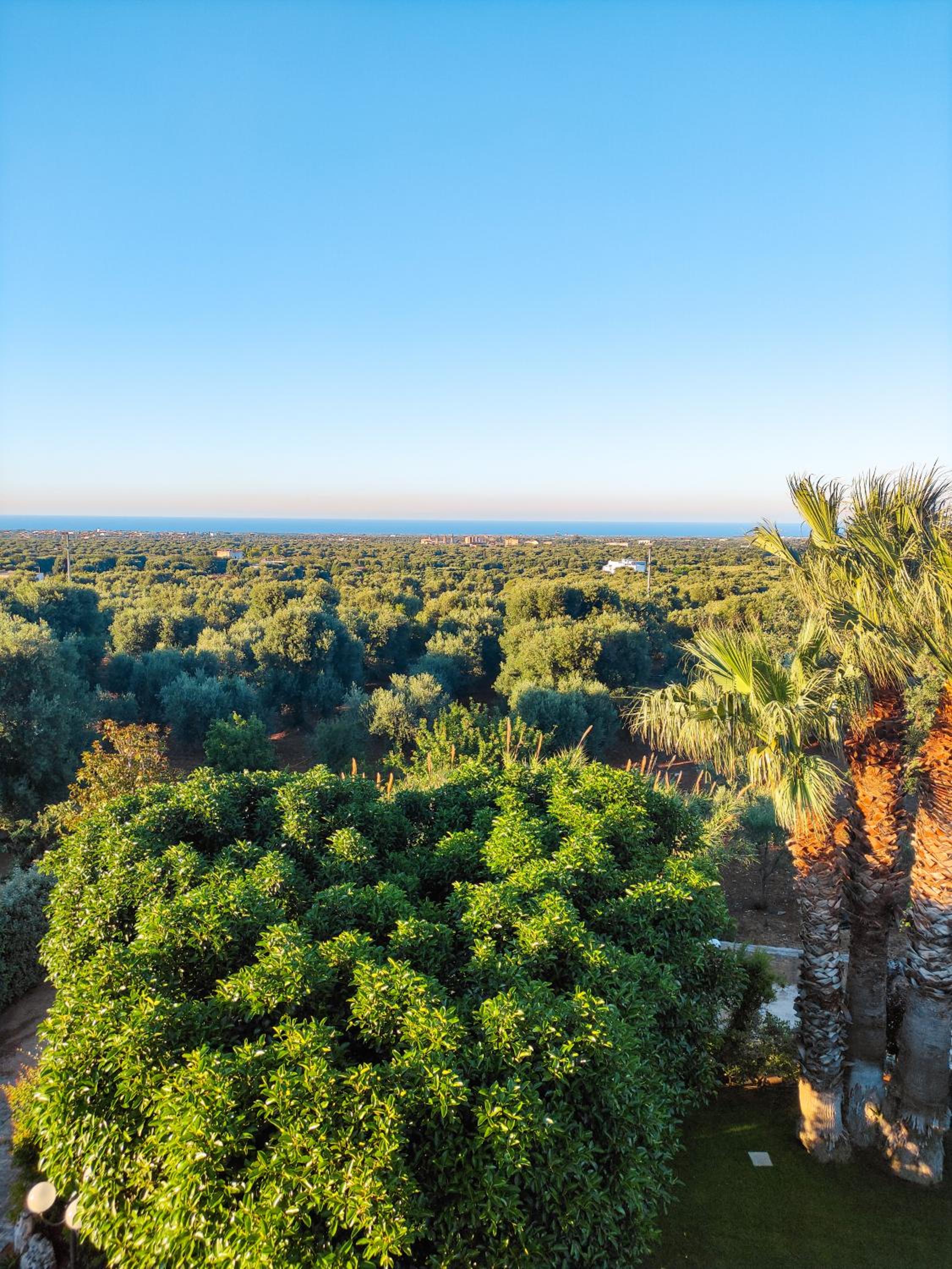 Masseria La Foggia