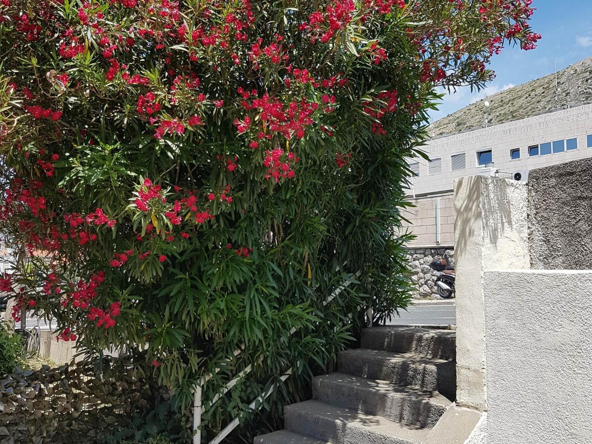 Studios IM