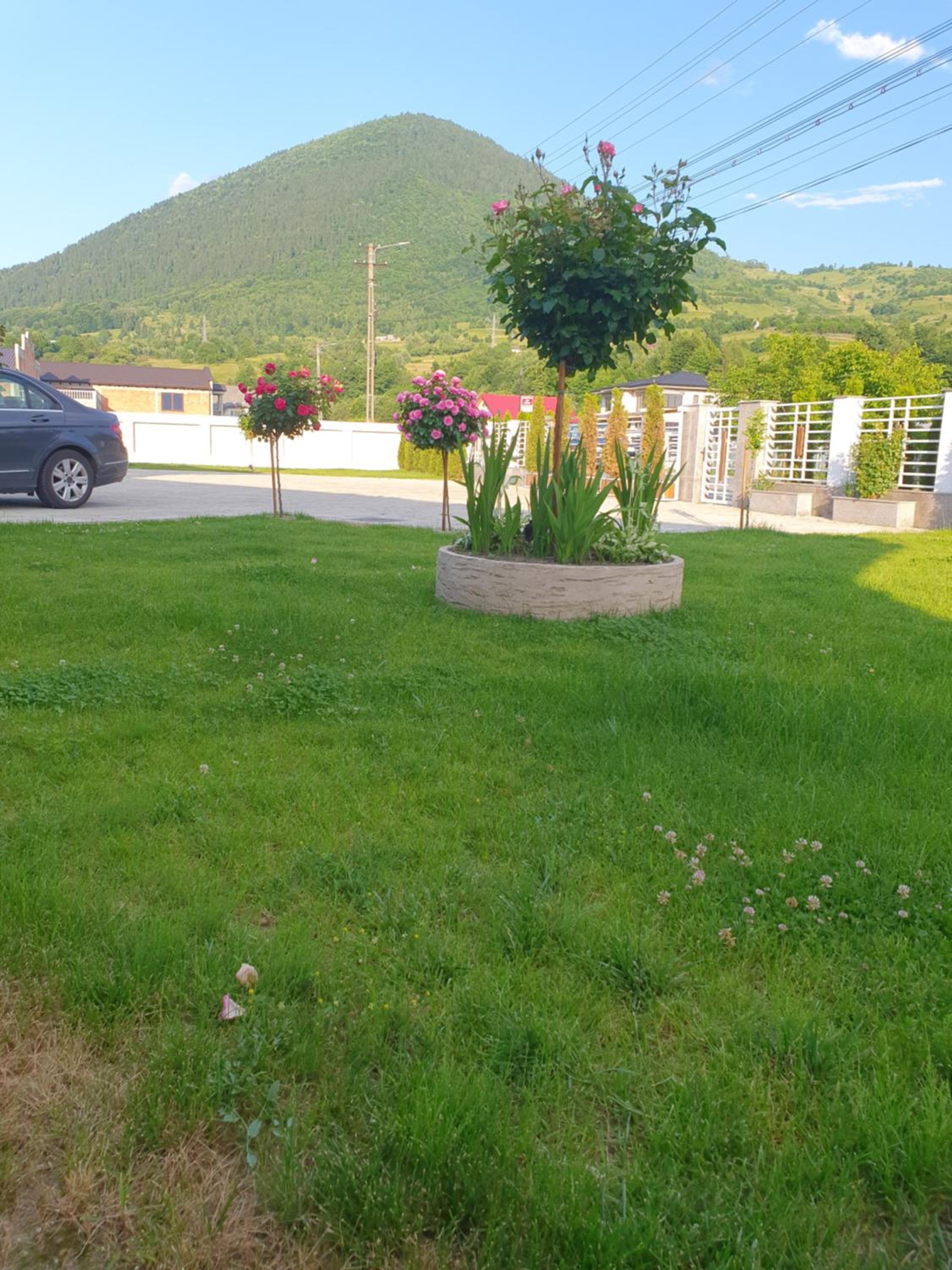 Cuibul Visurilor view 2