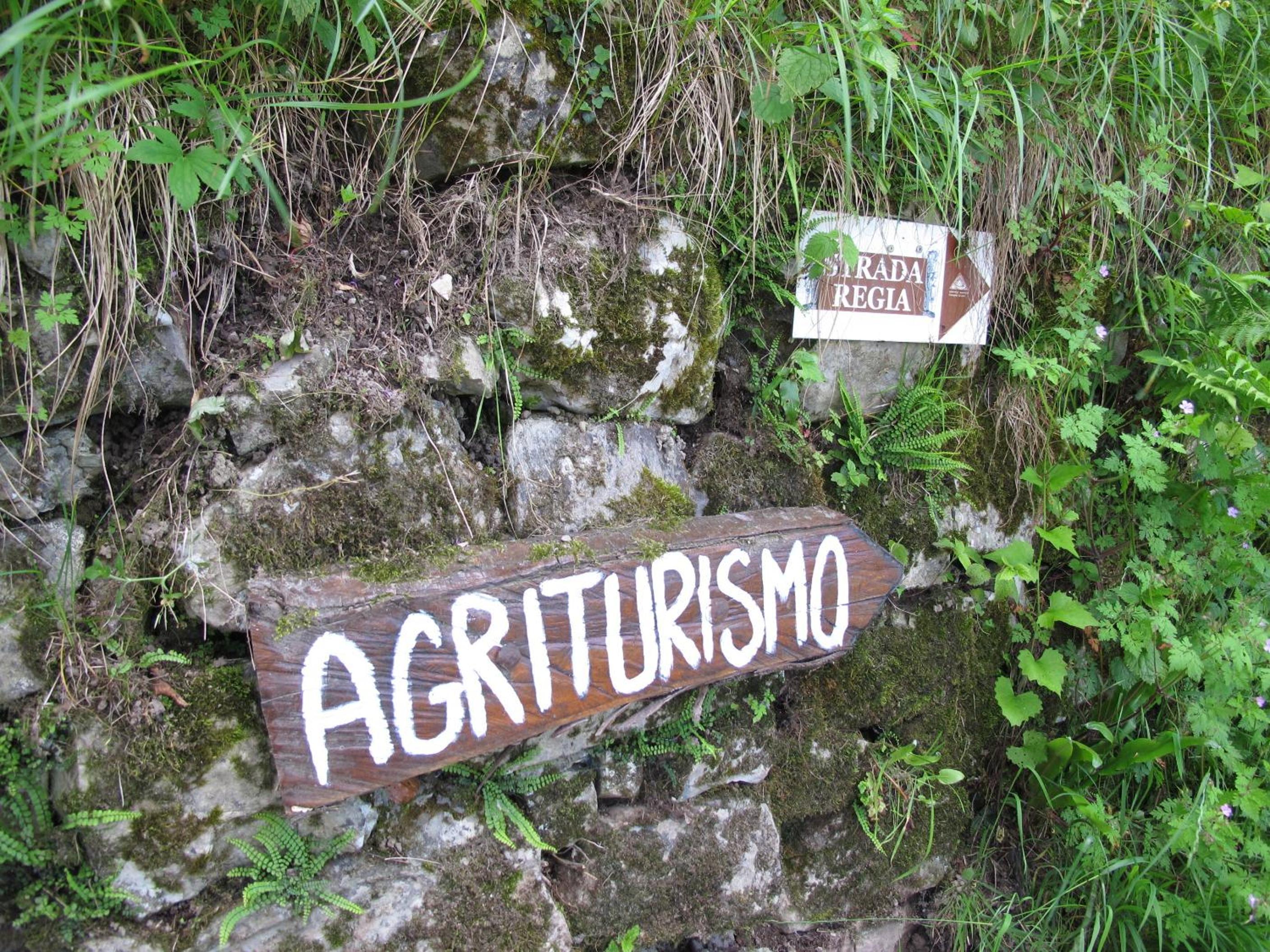 Agriturismo Madonna Dei Ceppi