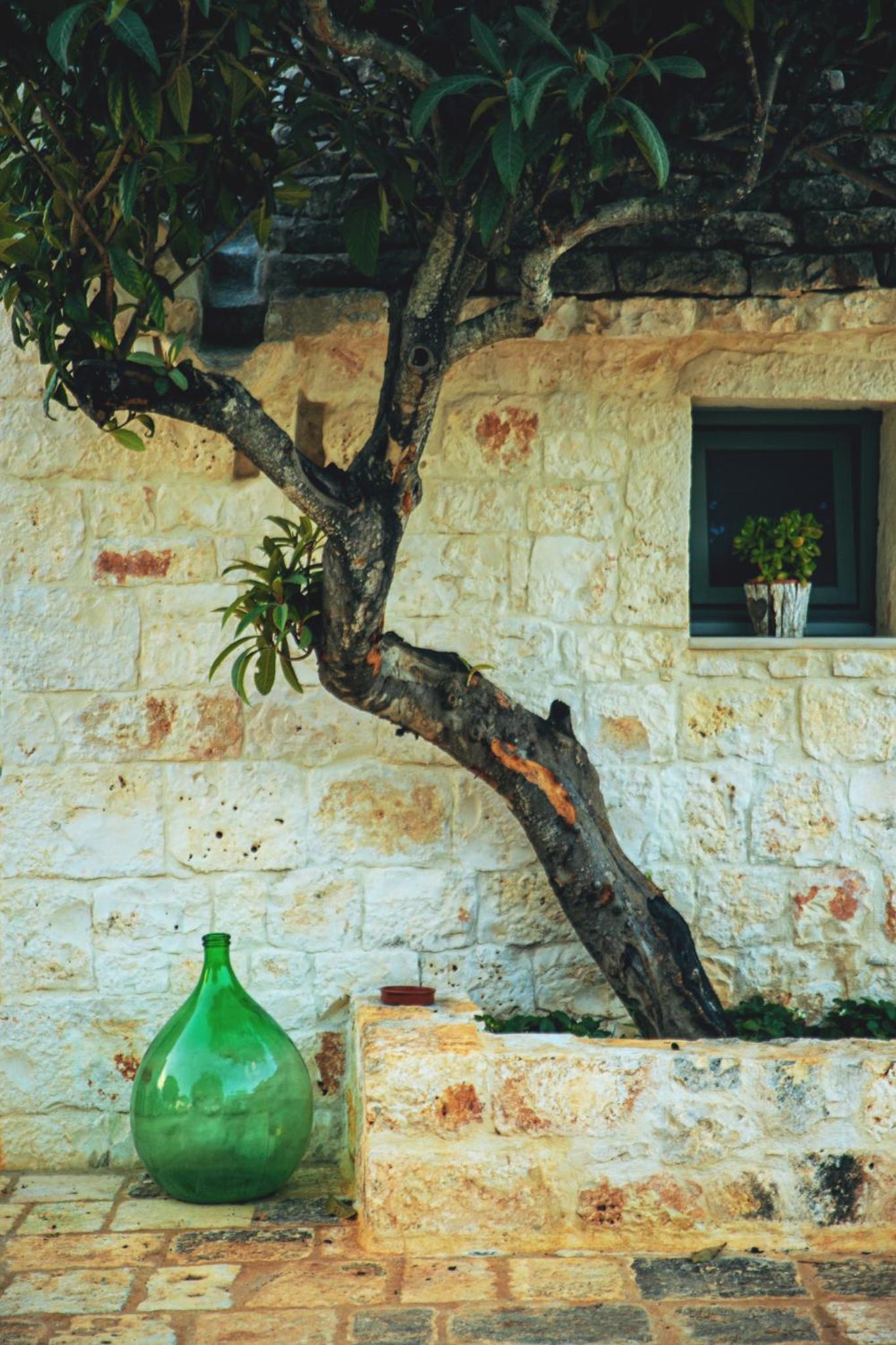 Photo 48