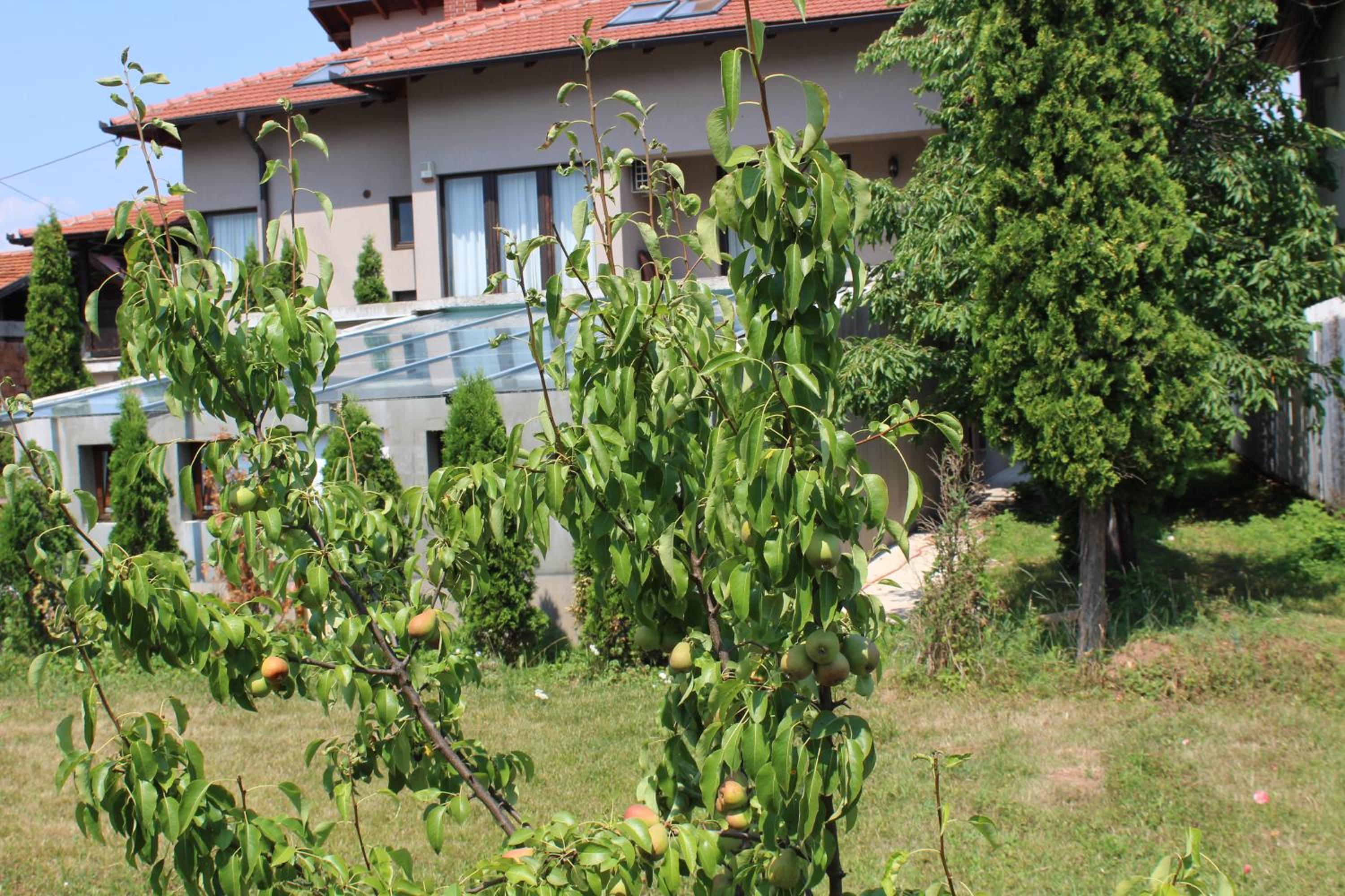 Villa Čengić