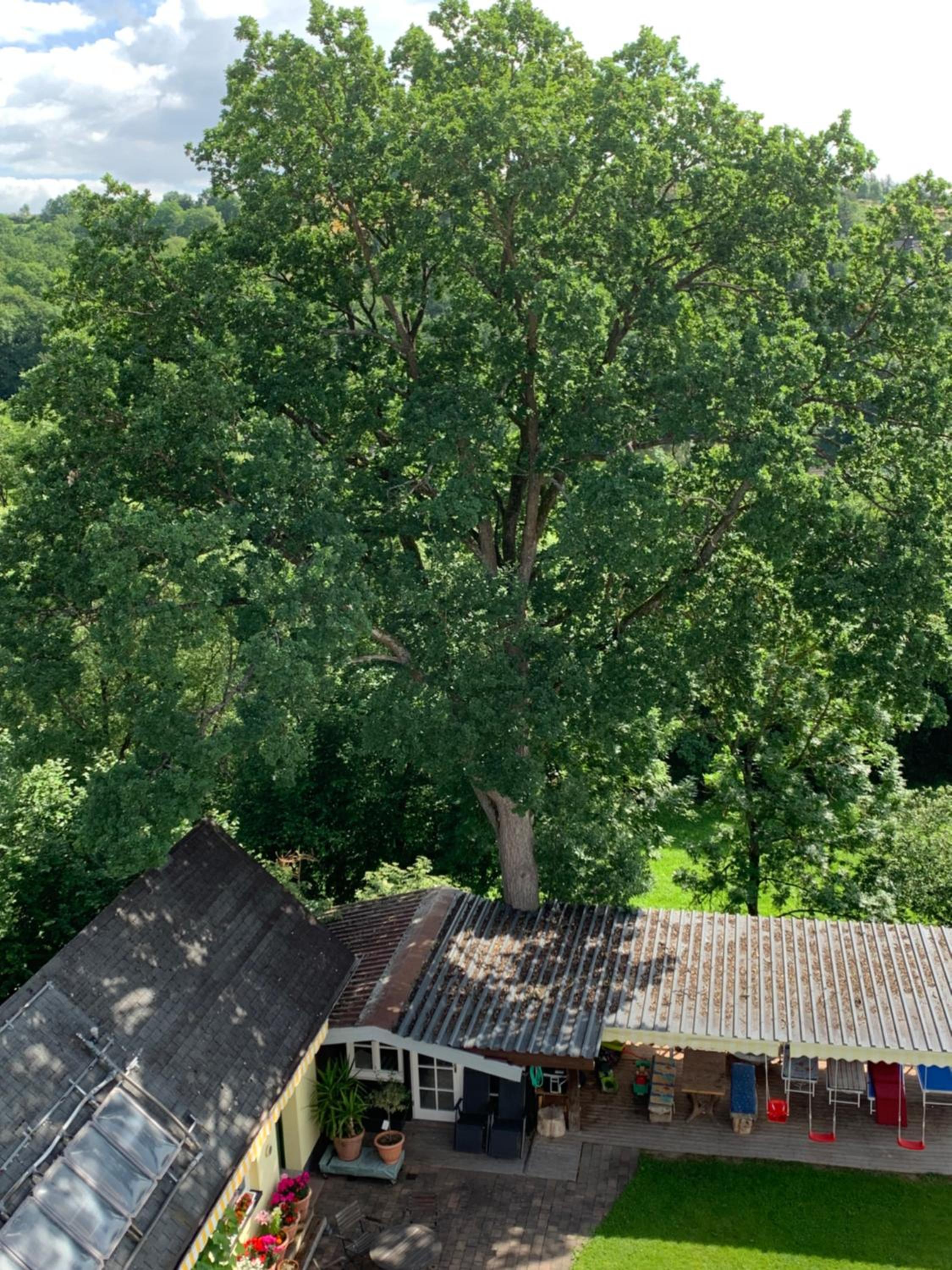 Pino24 Ferienwohnungen mit Pool und Sauna