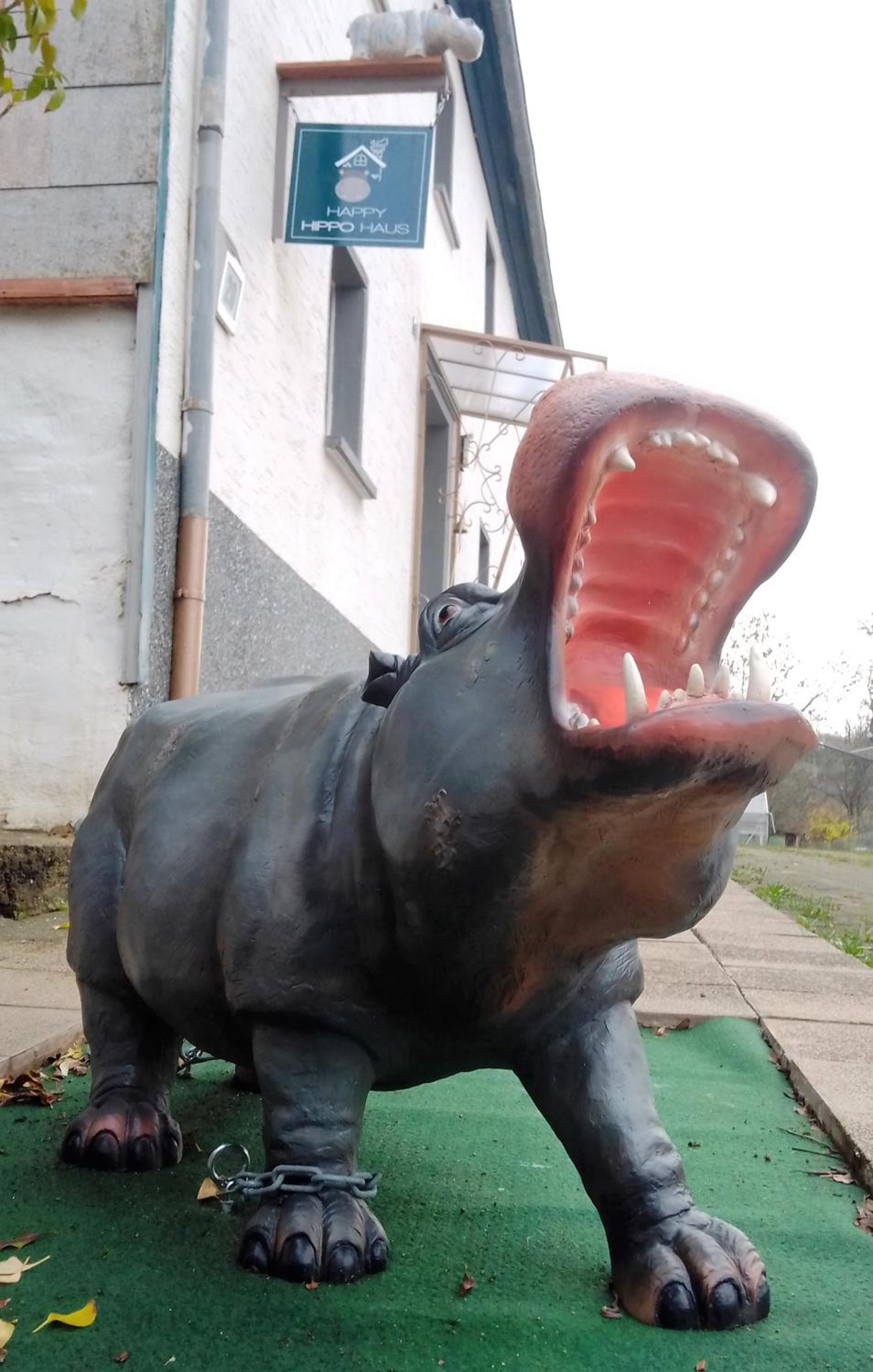 Happy Hippo Haus