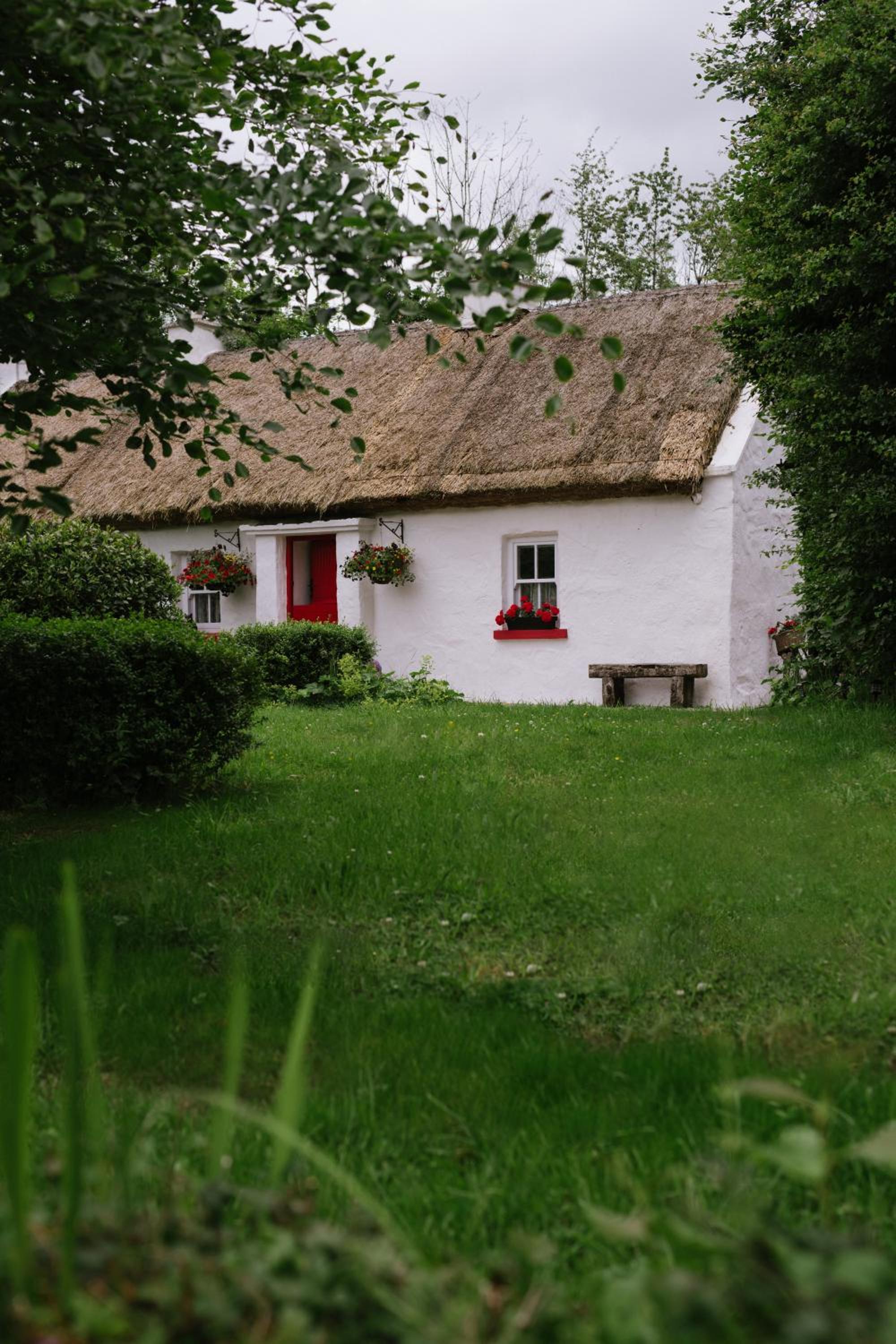 Photo 31